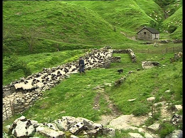 C'est pas sorcier - La transhumance