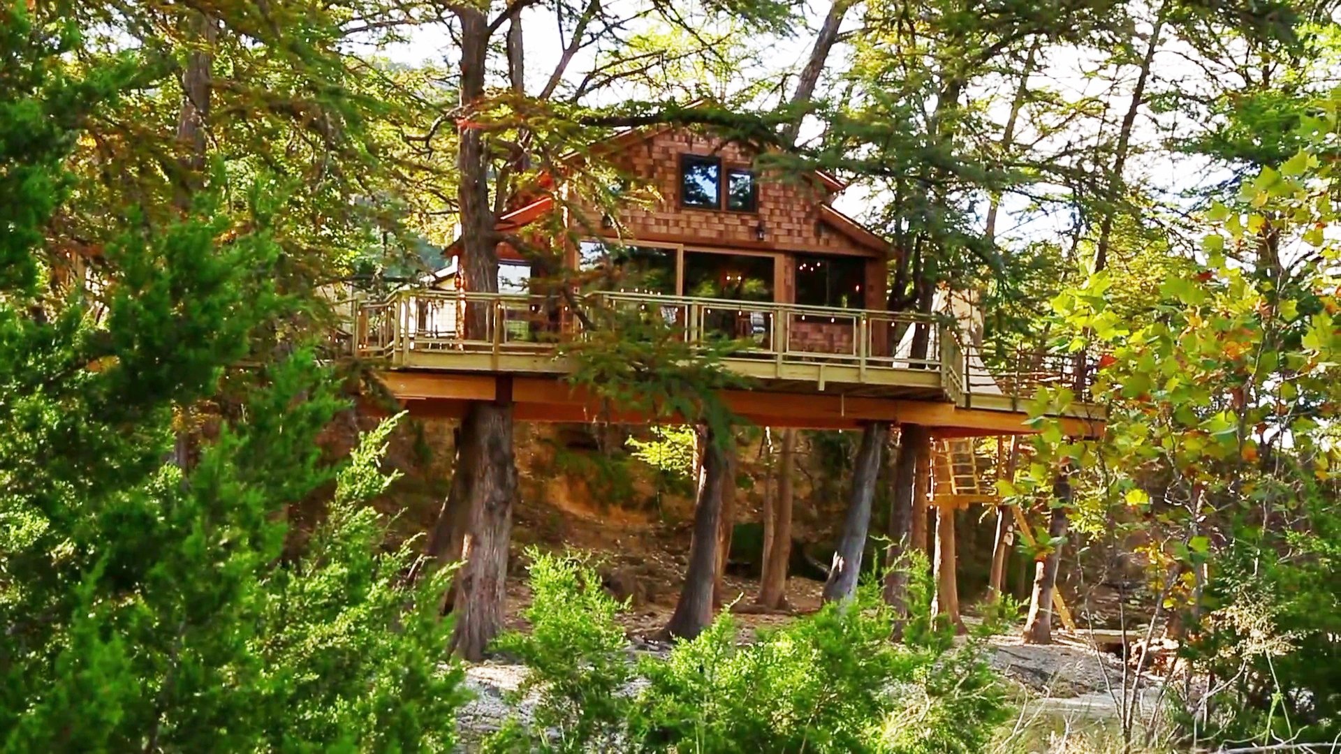 Treehouse Masters