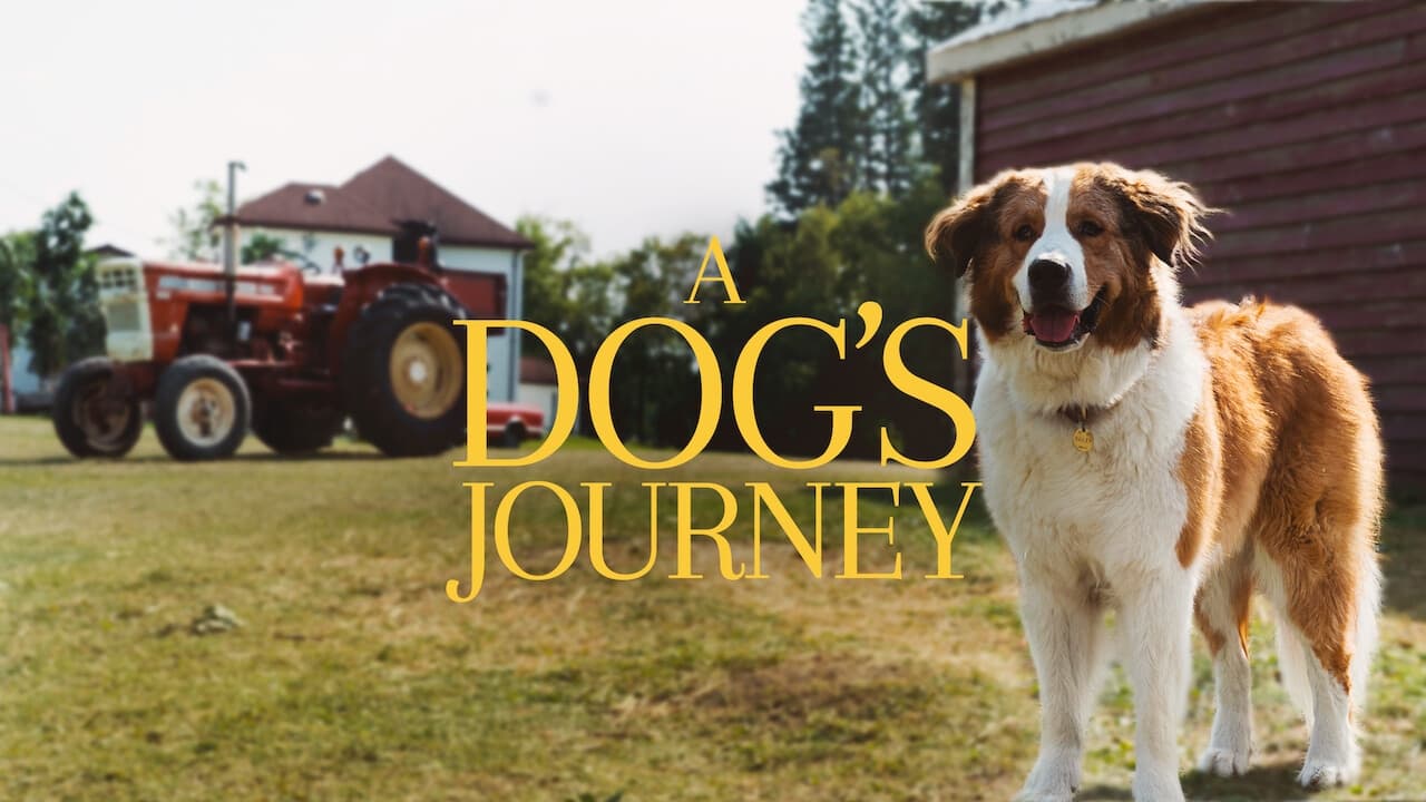 A Dog's Journey (2019)