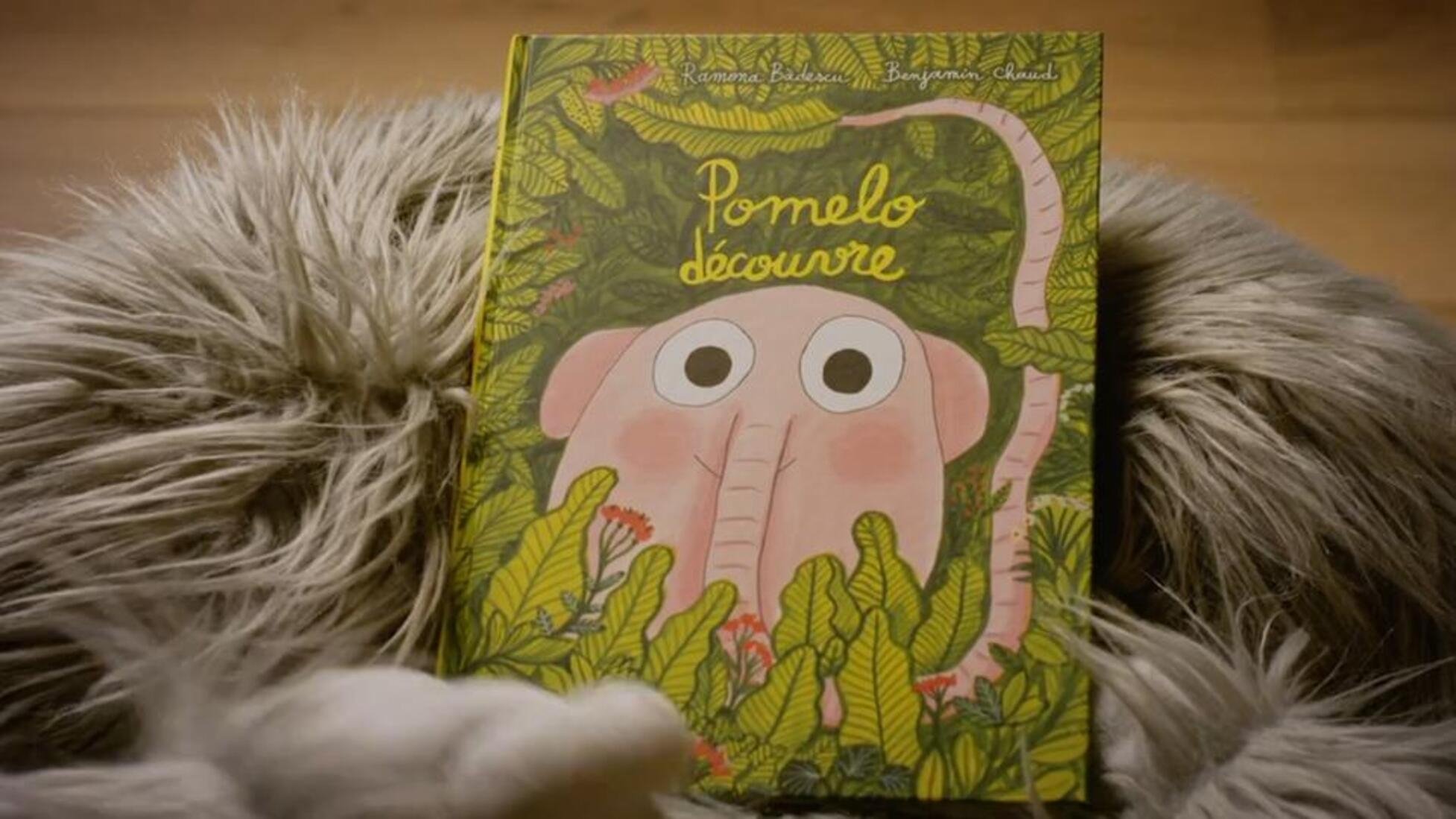 Yétili - Pomelo découvre