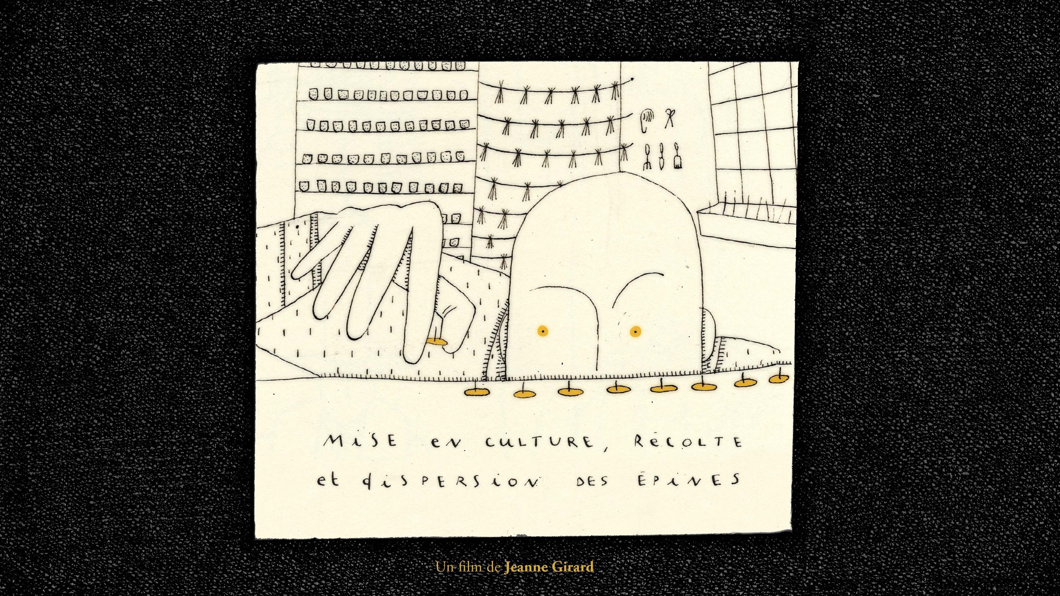 Mise en culture, récolte et dispersion des épines