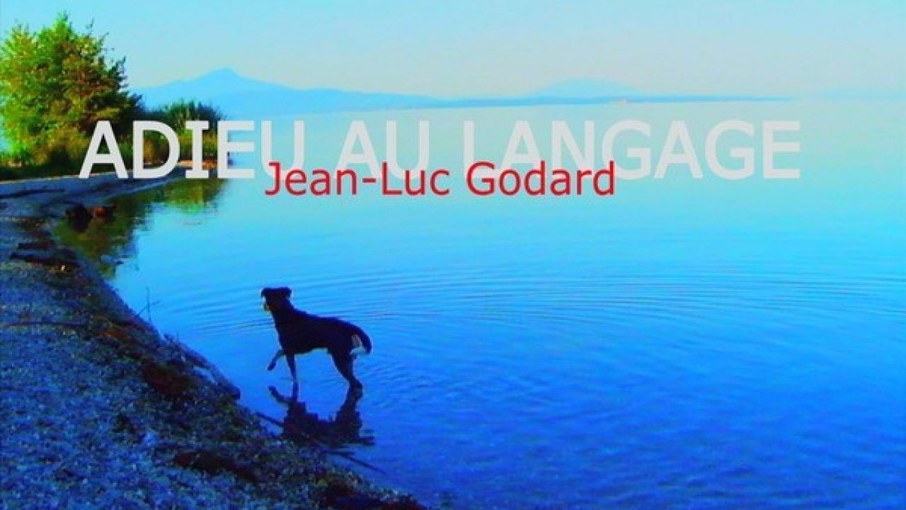 Goodbye to Language (2014)