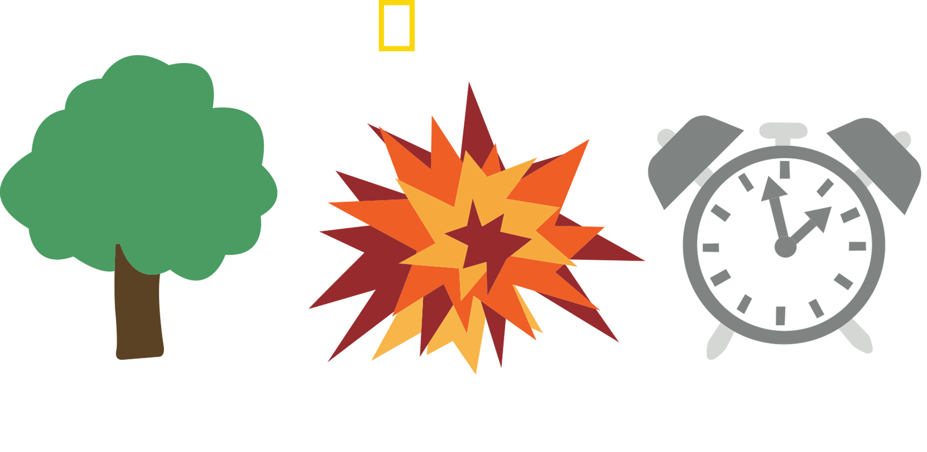 Nature Boom Time Logo