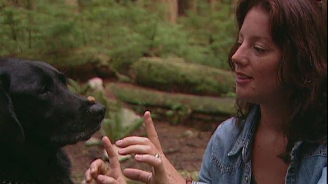 Sarah McLachlan: A Life of Music (2004)