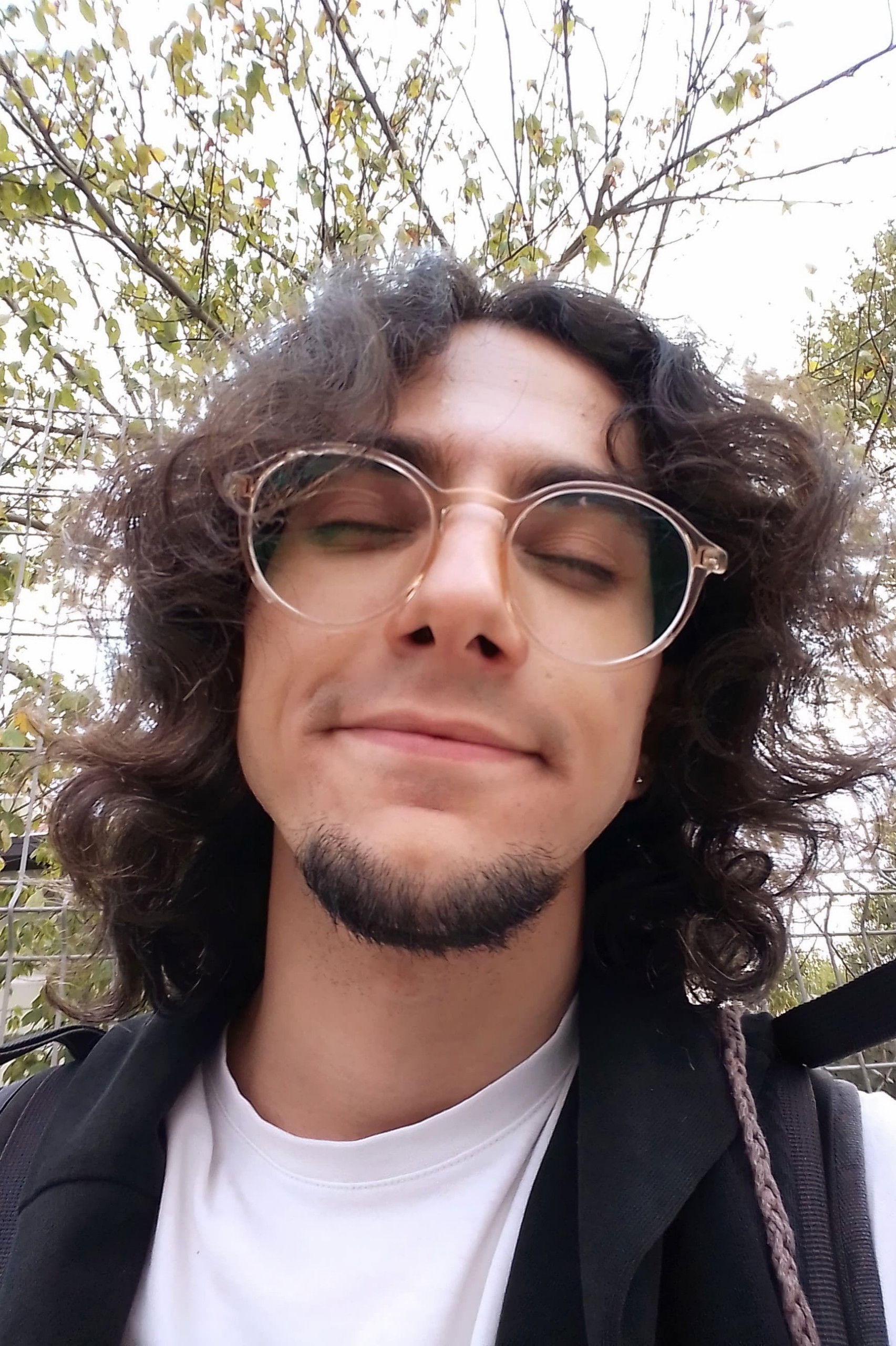 et billede af Alim Sarı