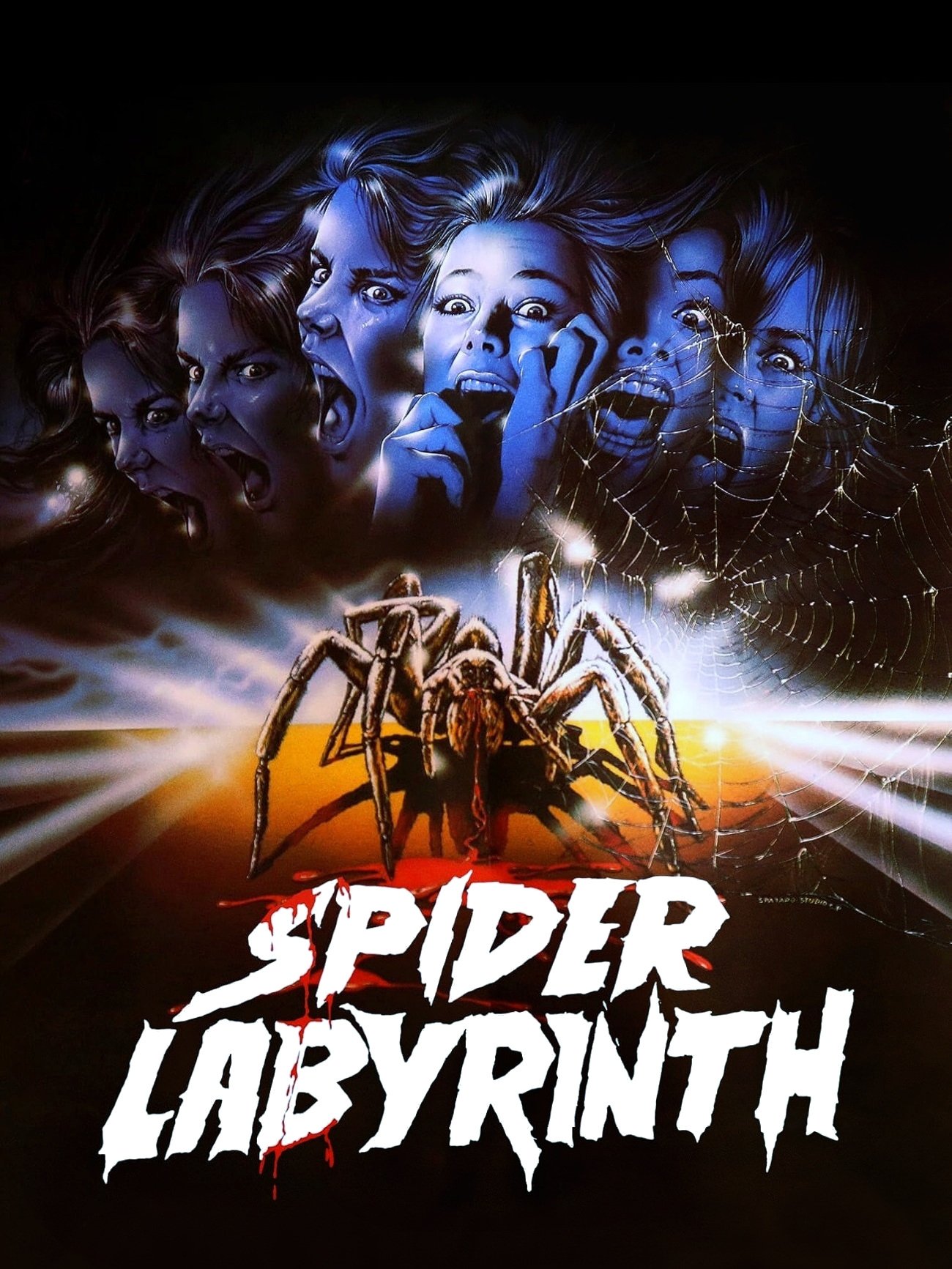 The Spider Labyrinth