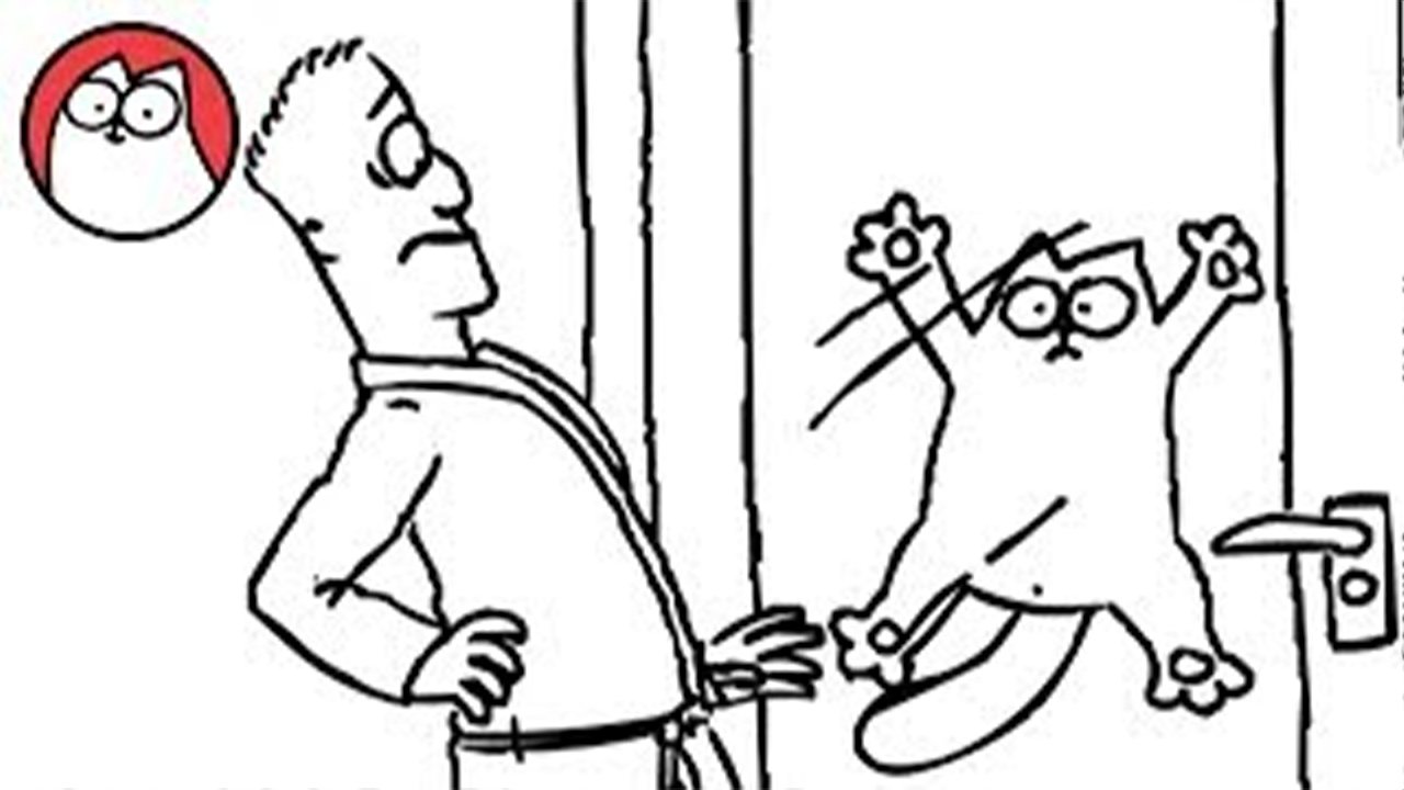 Simon’s Cat