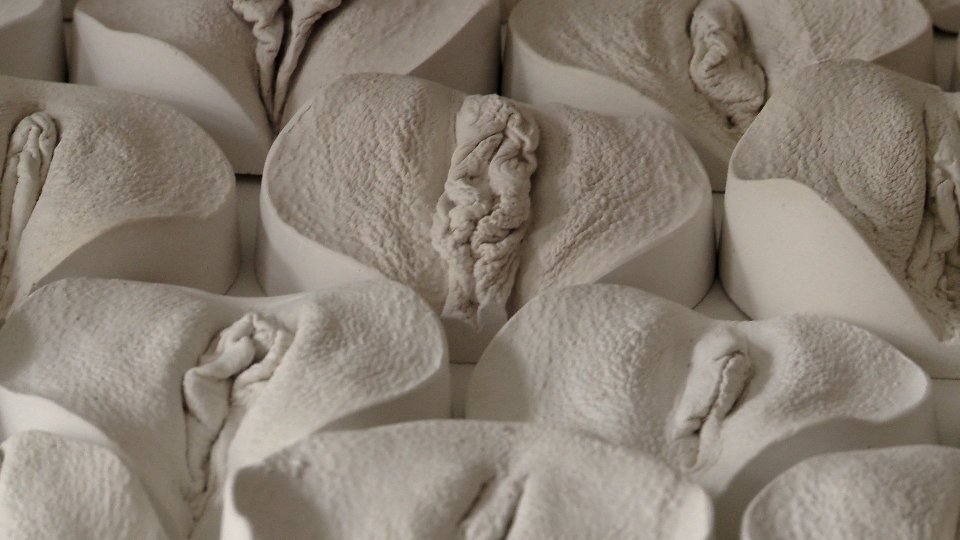 Viva la Vulva (2019)