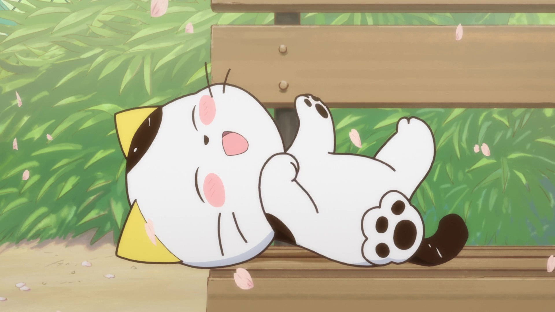 Download Uchitama Have You Seen My Tama S 1 Ep 1 Eisode Filmy For iPhone Free Get Wallpaper Uchitama Have You Seen My Tama S 1 Ep 1 Eisode Filmy HD