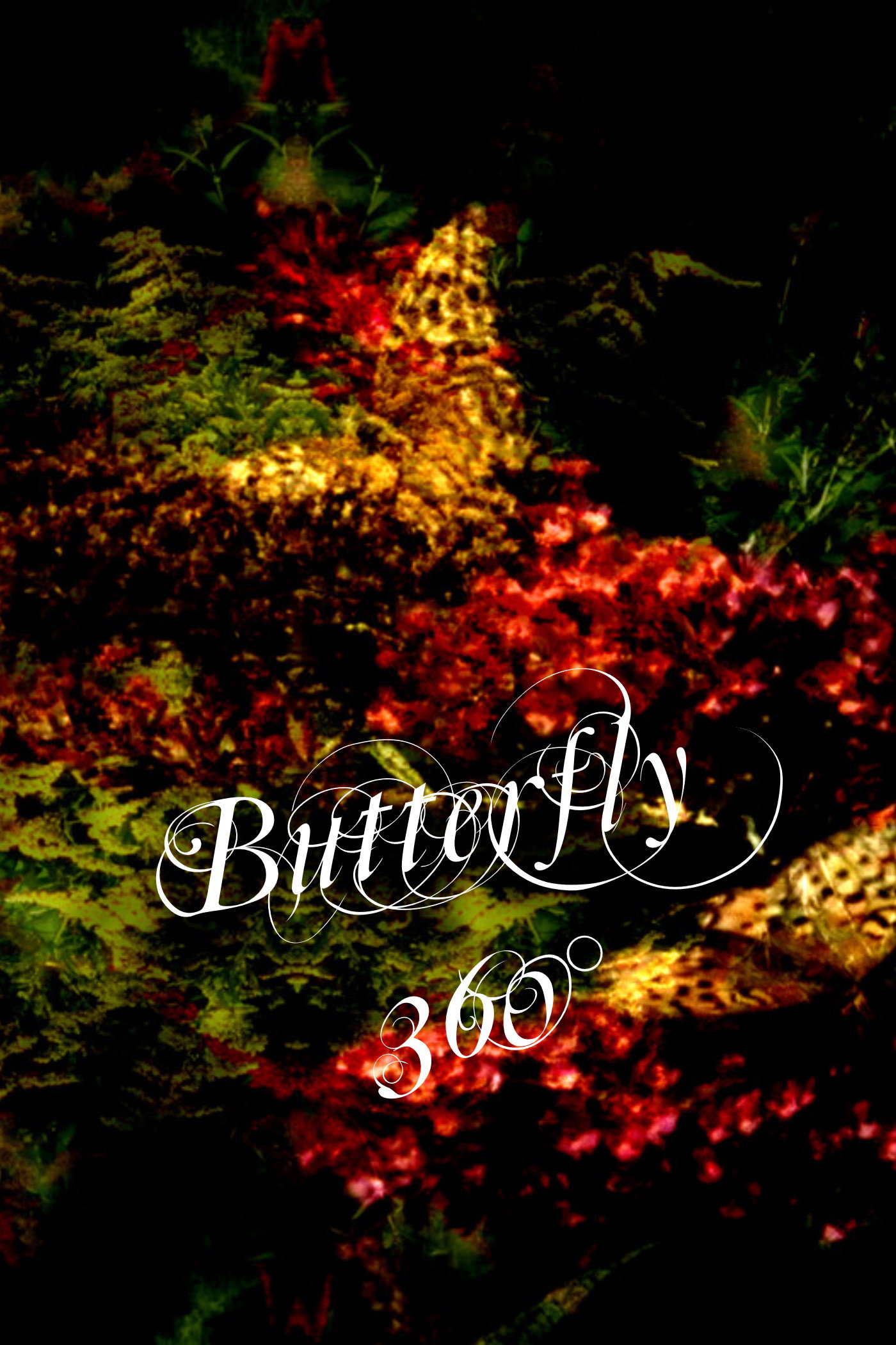 Butterfly 360&deg;