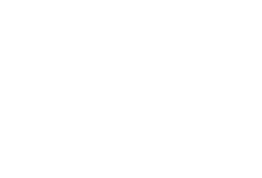 Double Scoop