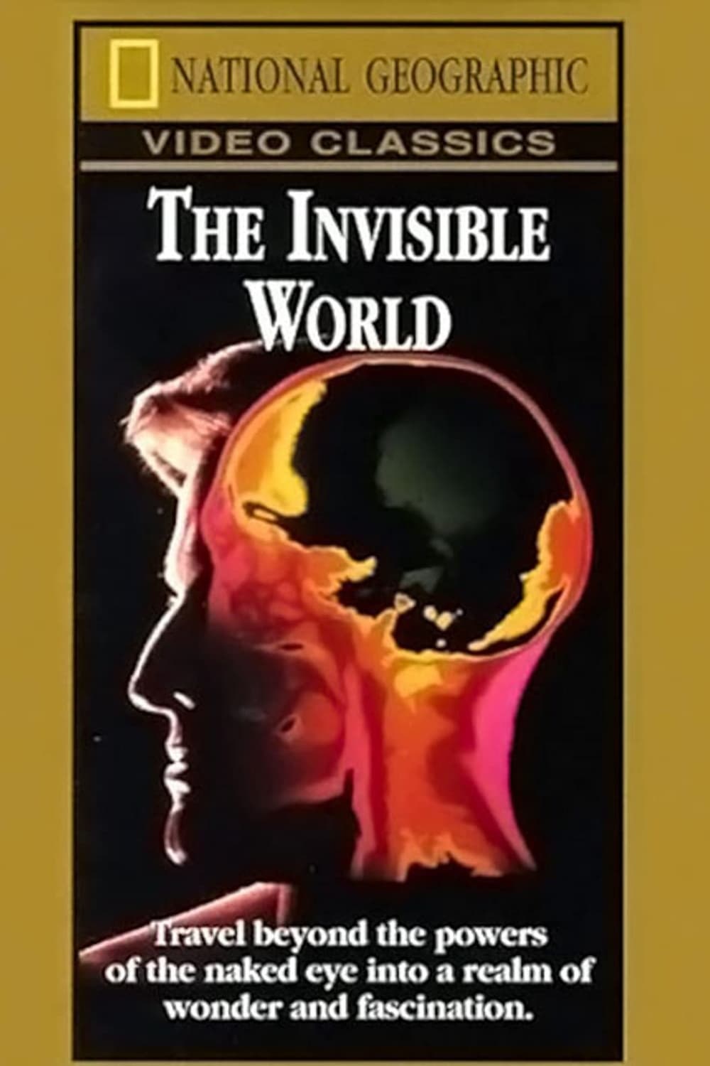 National Geographic: The Invisible World