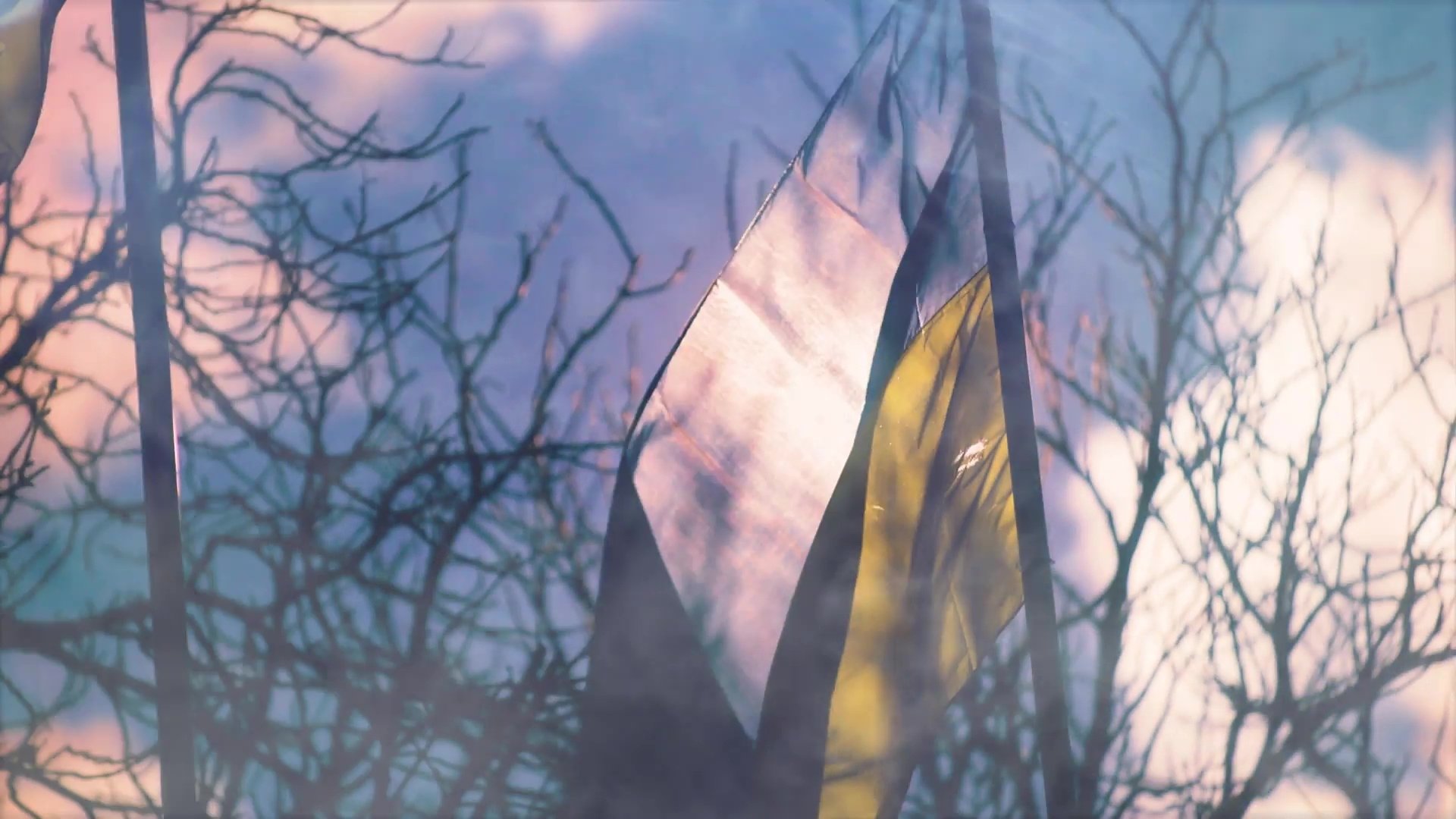 Despair and Defiance: The Battle for Ukraine (2022)