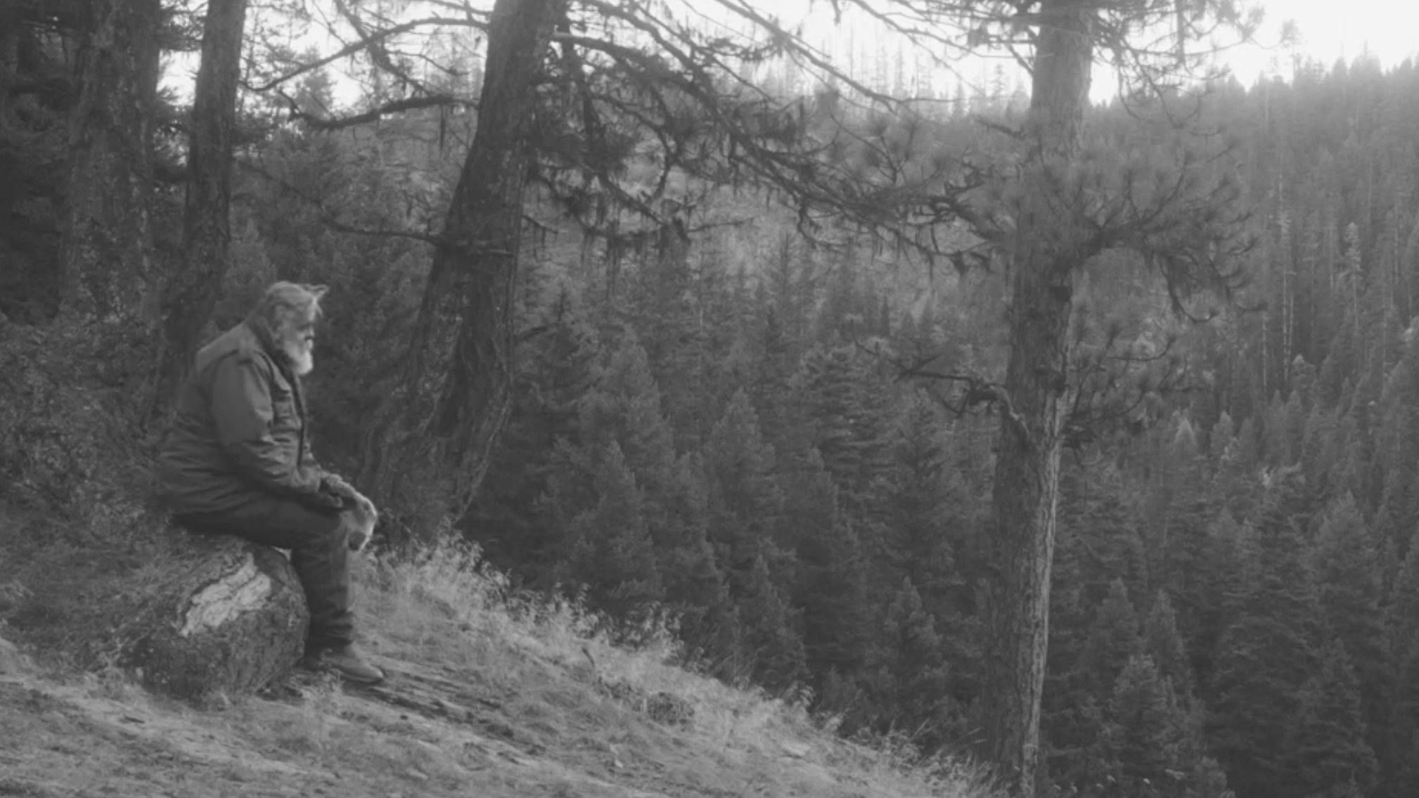 The Hike (2024)