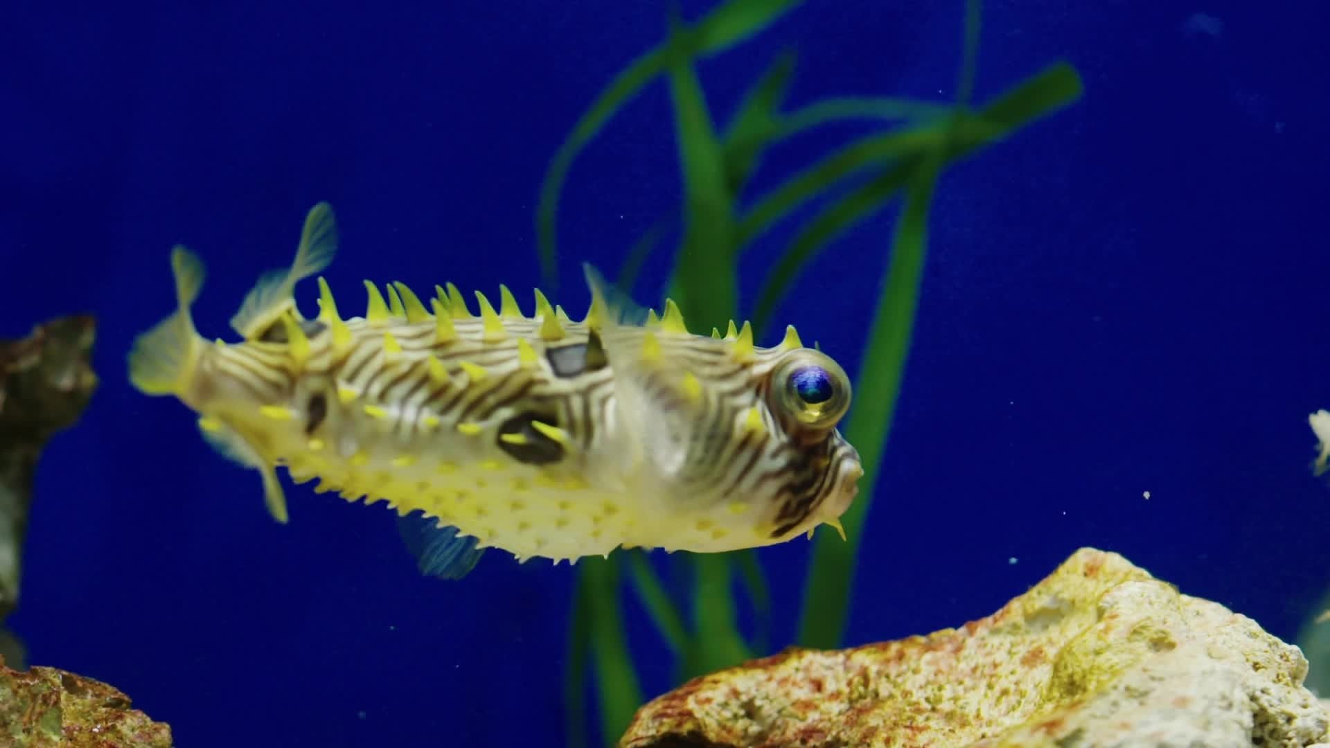Secrets of the Zoo: Tampa