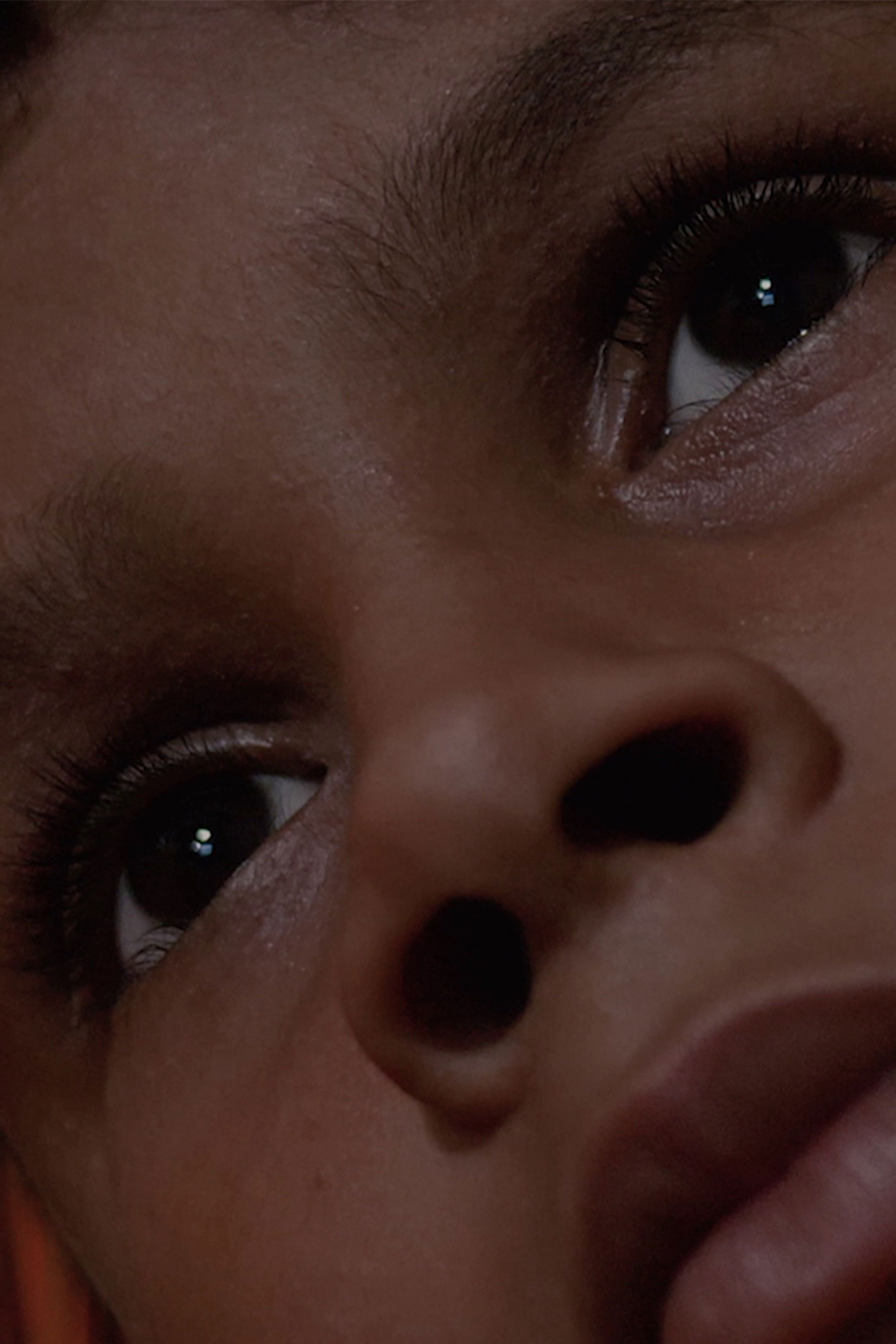 et billede af Daniel Lucas