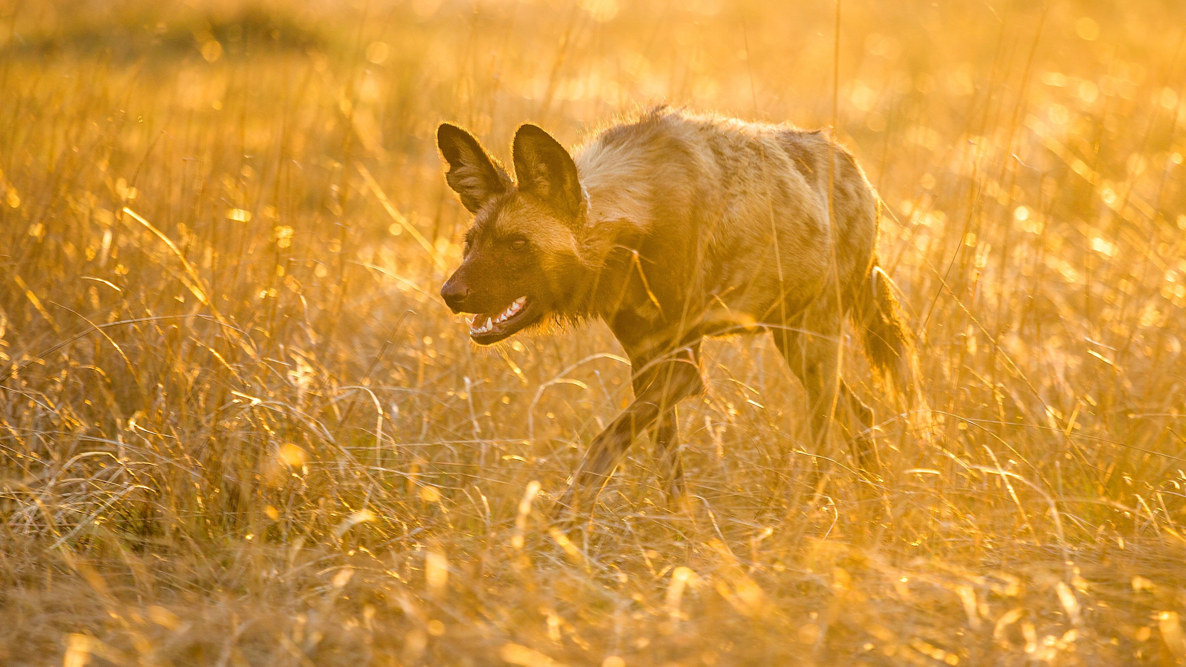 undefined 스틸 이미지