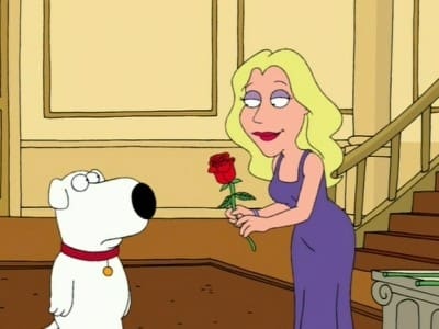 Family Guy Season 4 :Episode 7  Brian the Bachelor