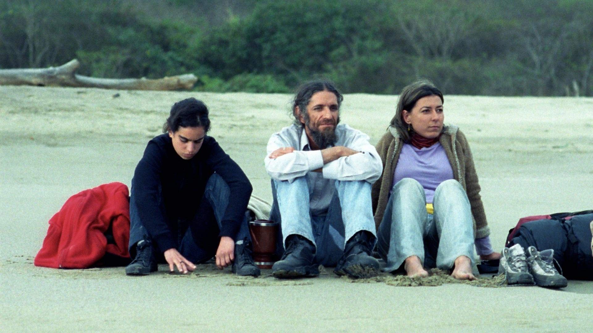 How Much Further (2006)