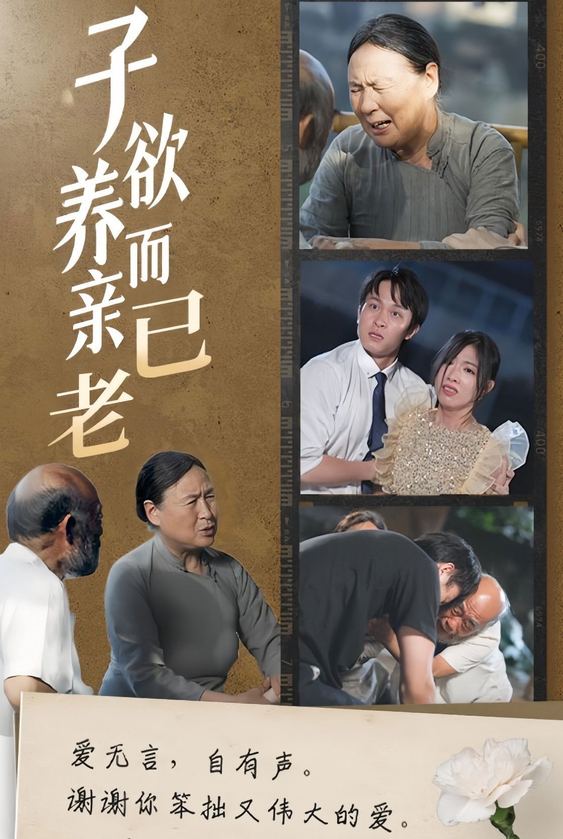 子欲养而亲已老