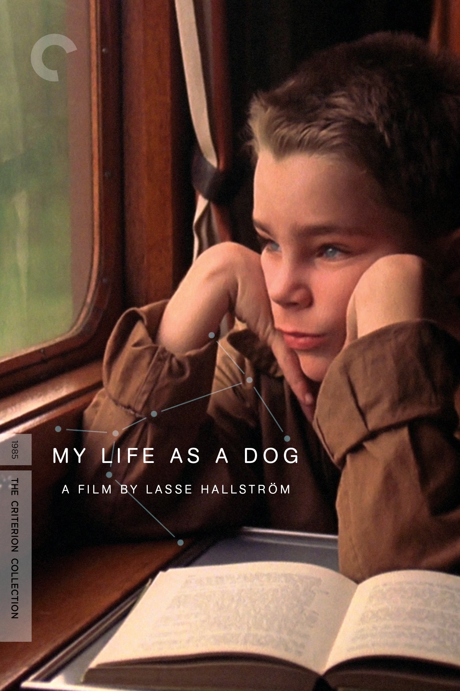 My Life as a Dog