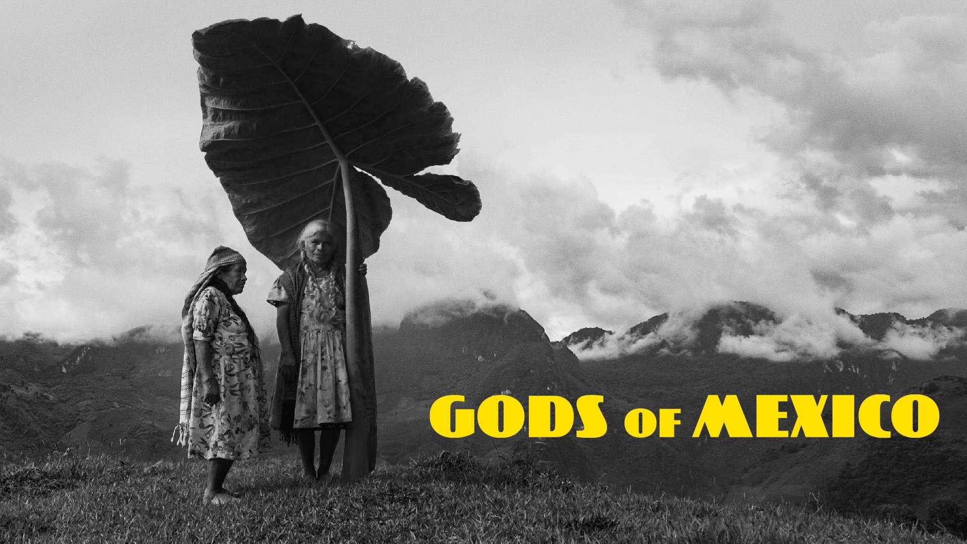 Gods of Mexico (2022)