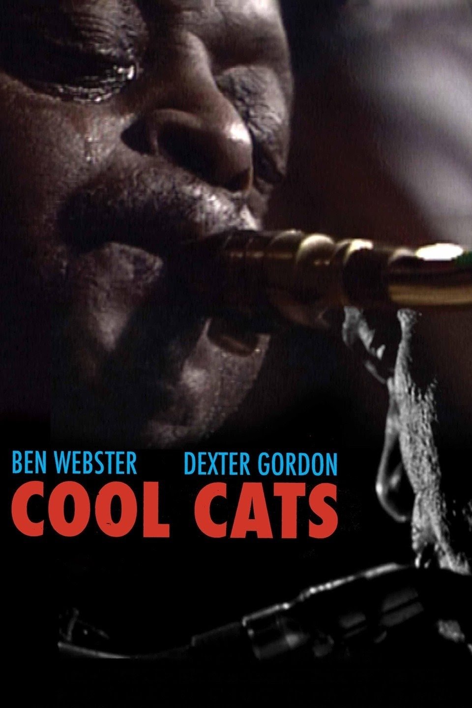Cool Cats Cool Cats