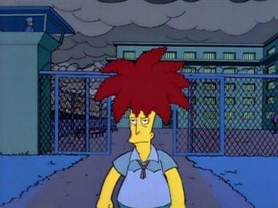 The Simpsons Season 6 :Episode 5  Sideshow Bob Roberts