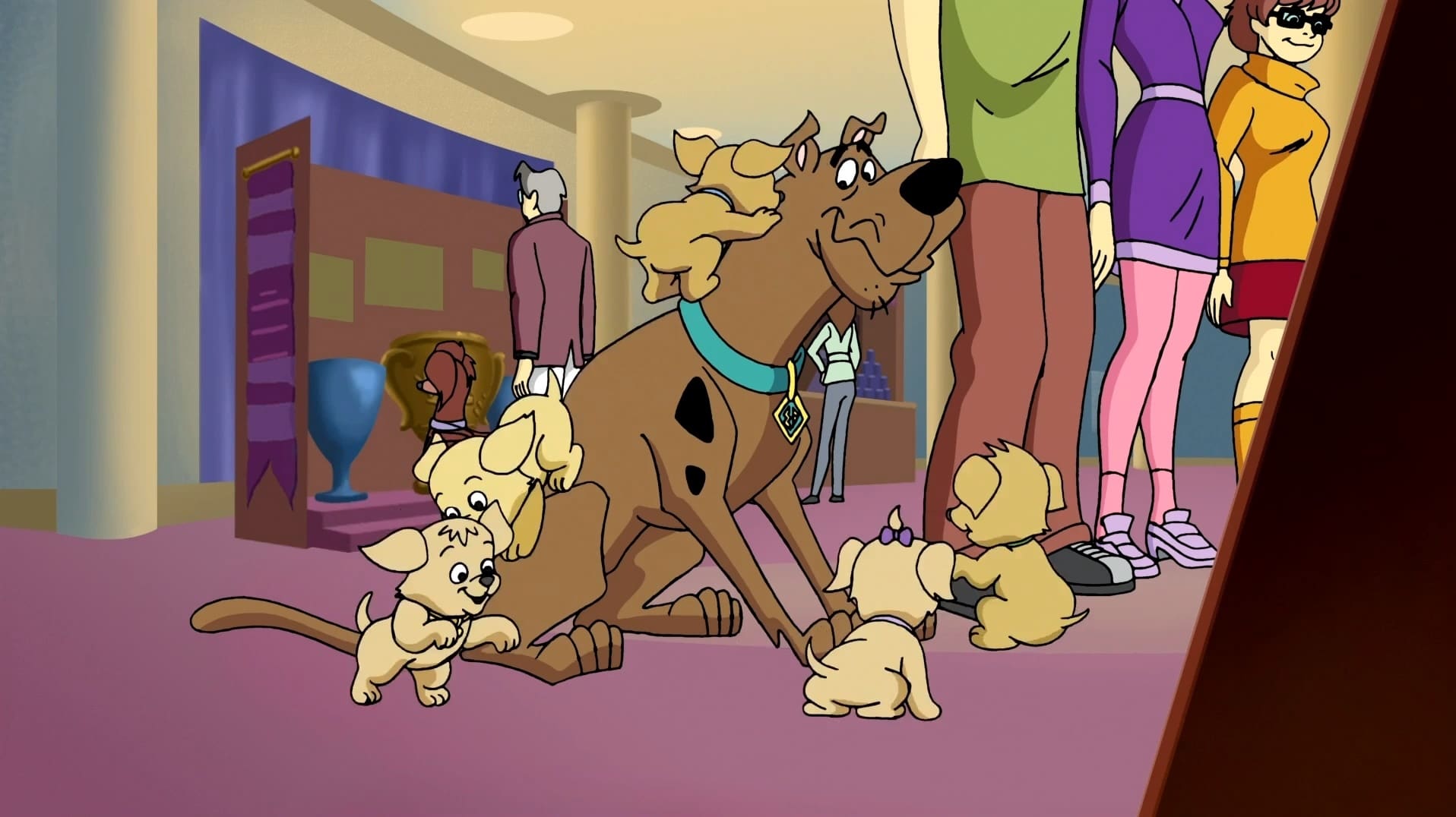 What's New, Scooby-Doo? Season 2 :Episode 7  Homeward Hound