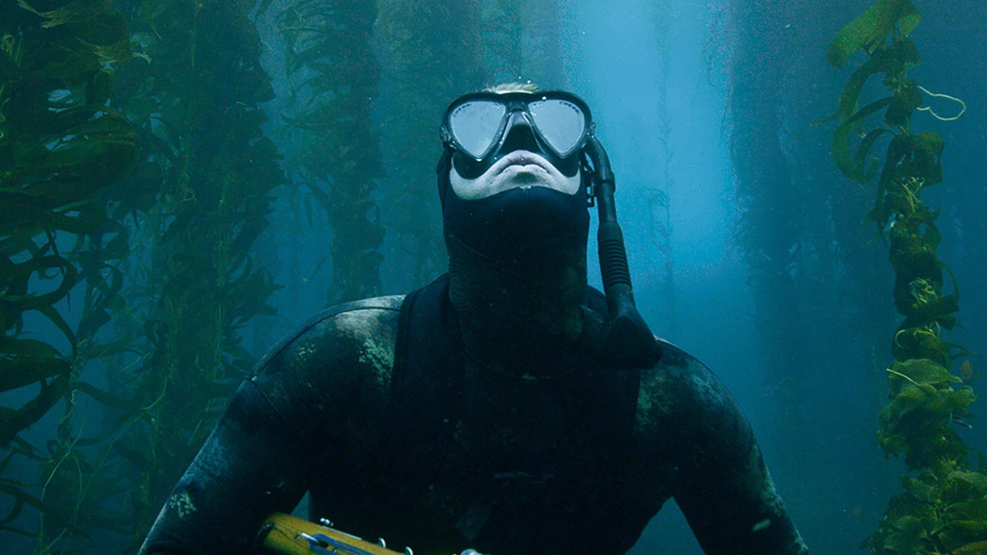 Imagem do Filme The Urchin Diver