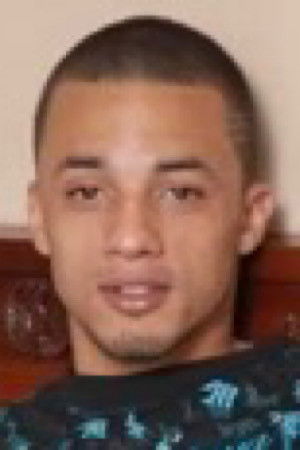 et billede af King Dingo