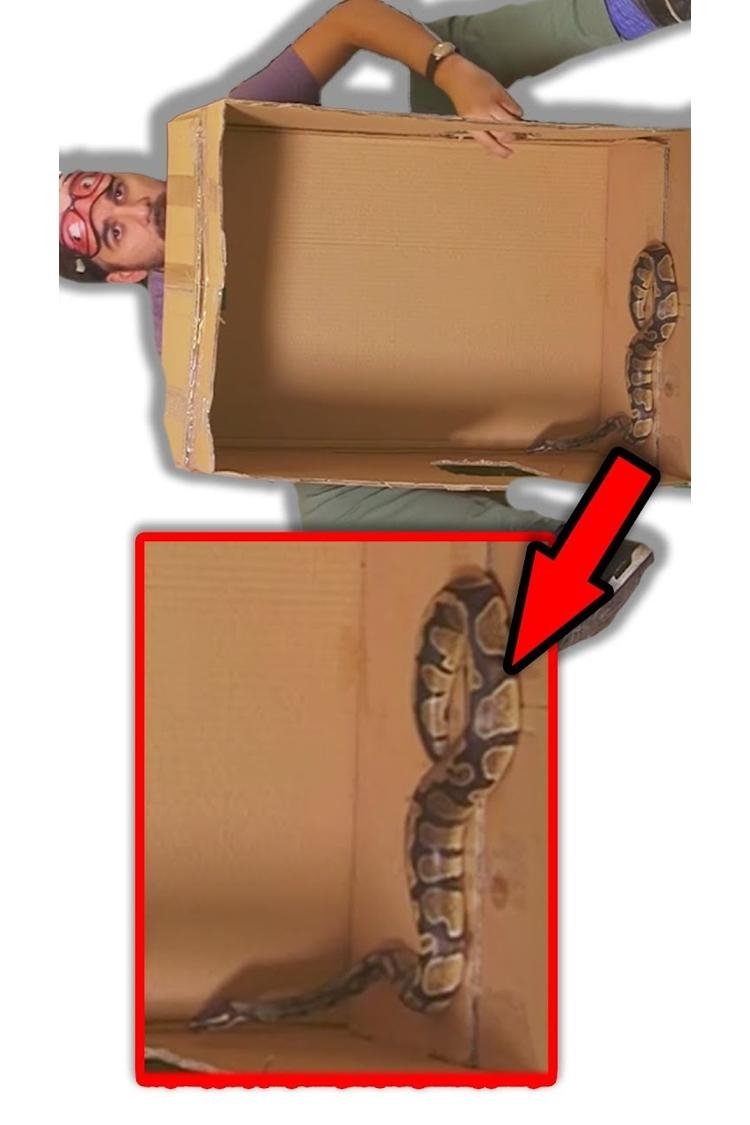 title