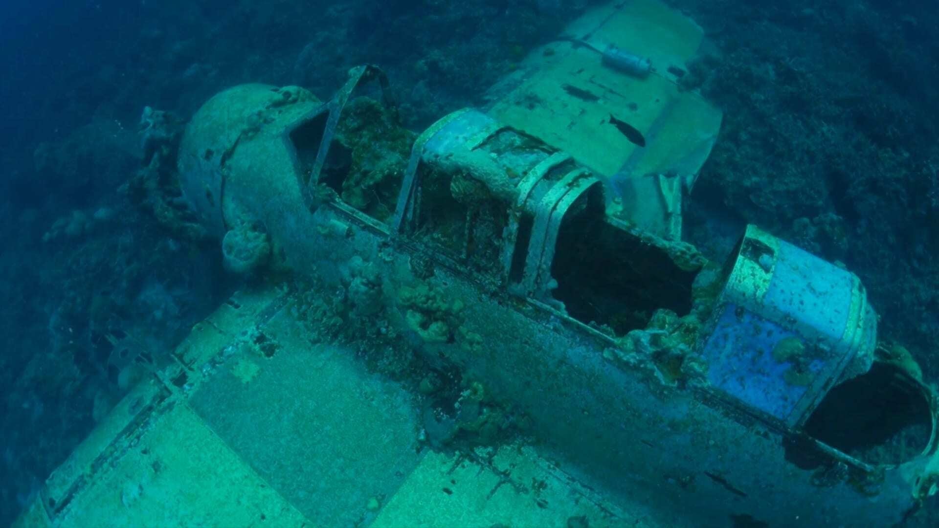 Mysteries of the Deep