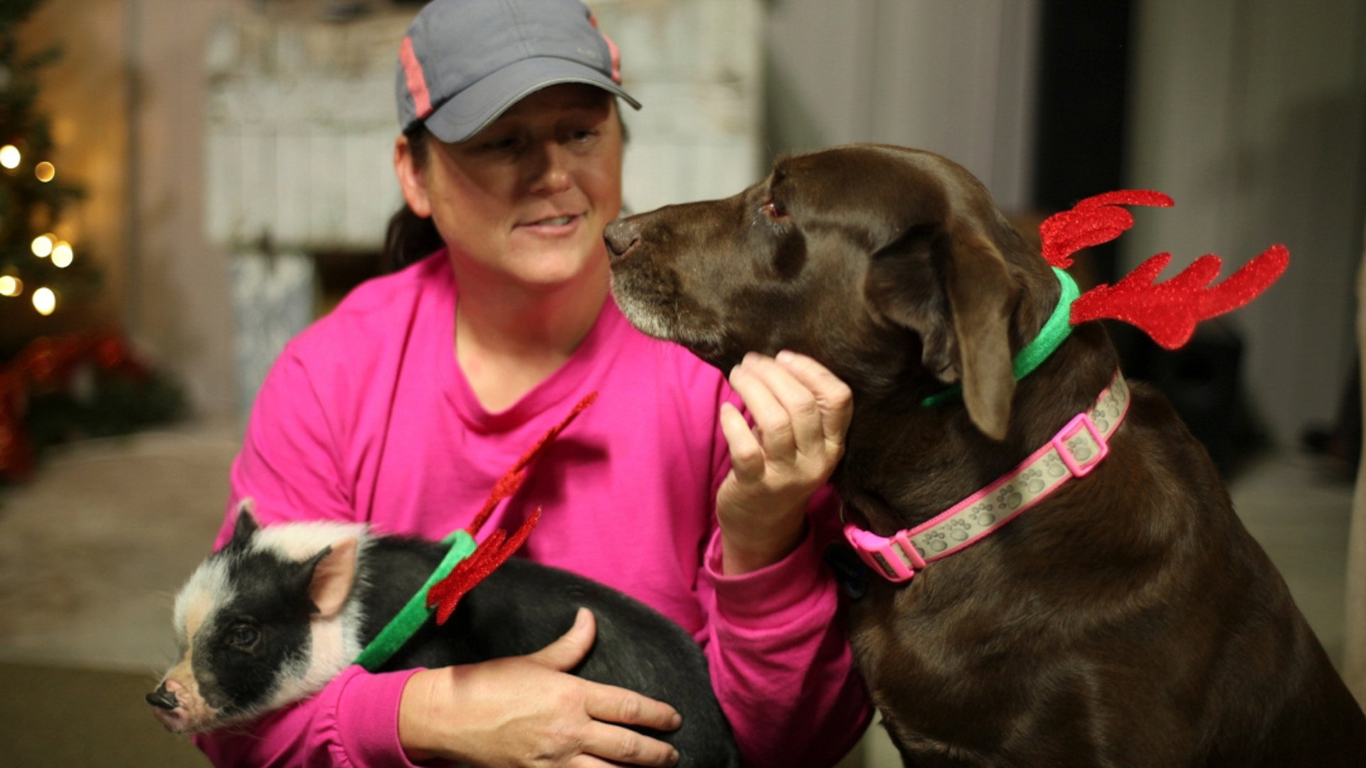 Making Spirits Bright still