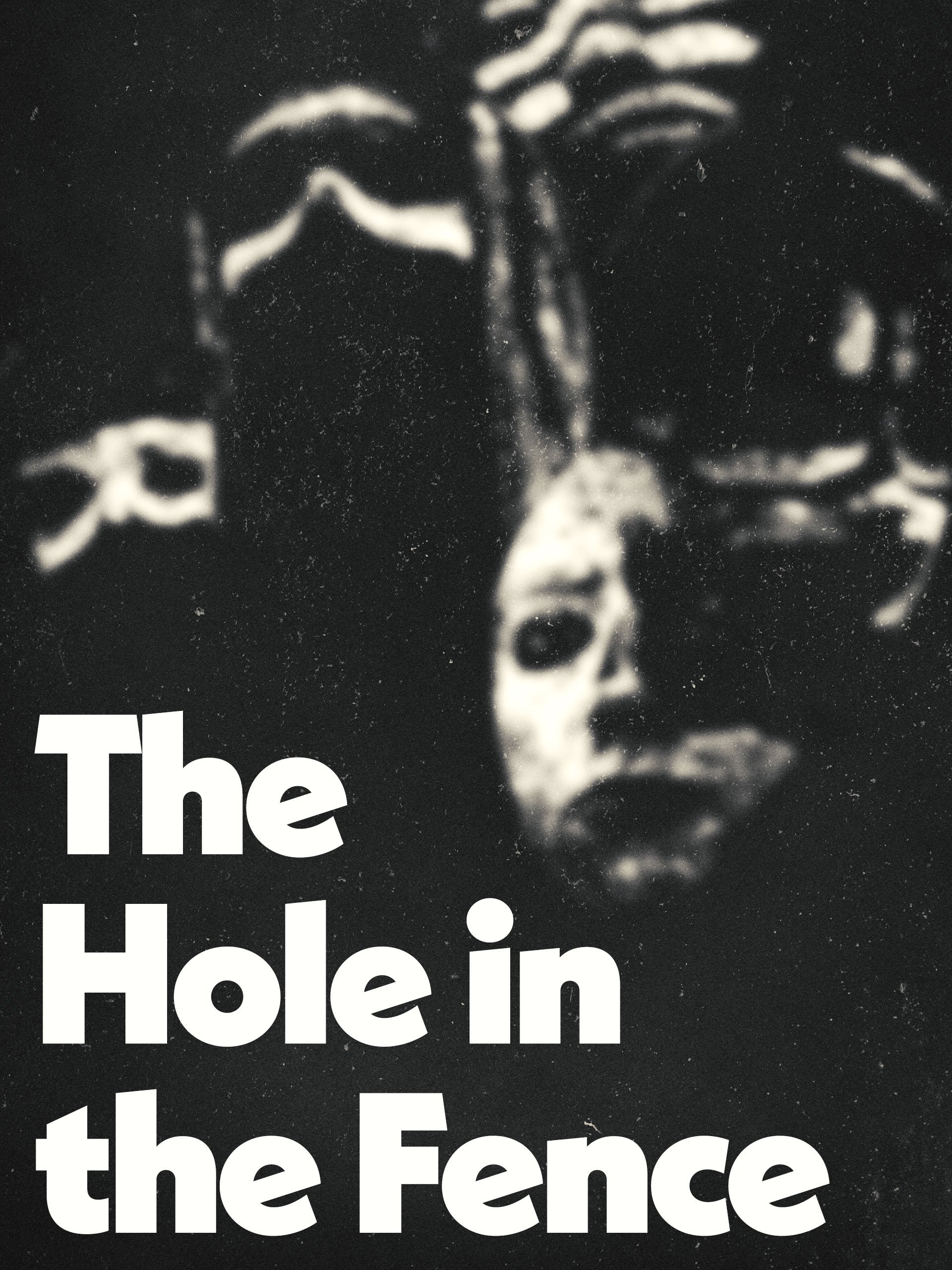 The Hole in the Fence