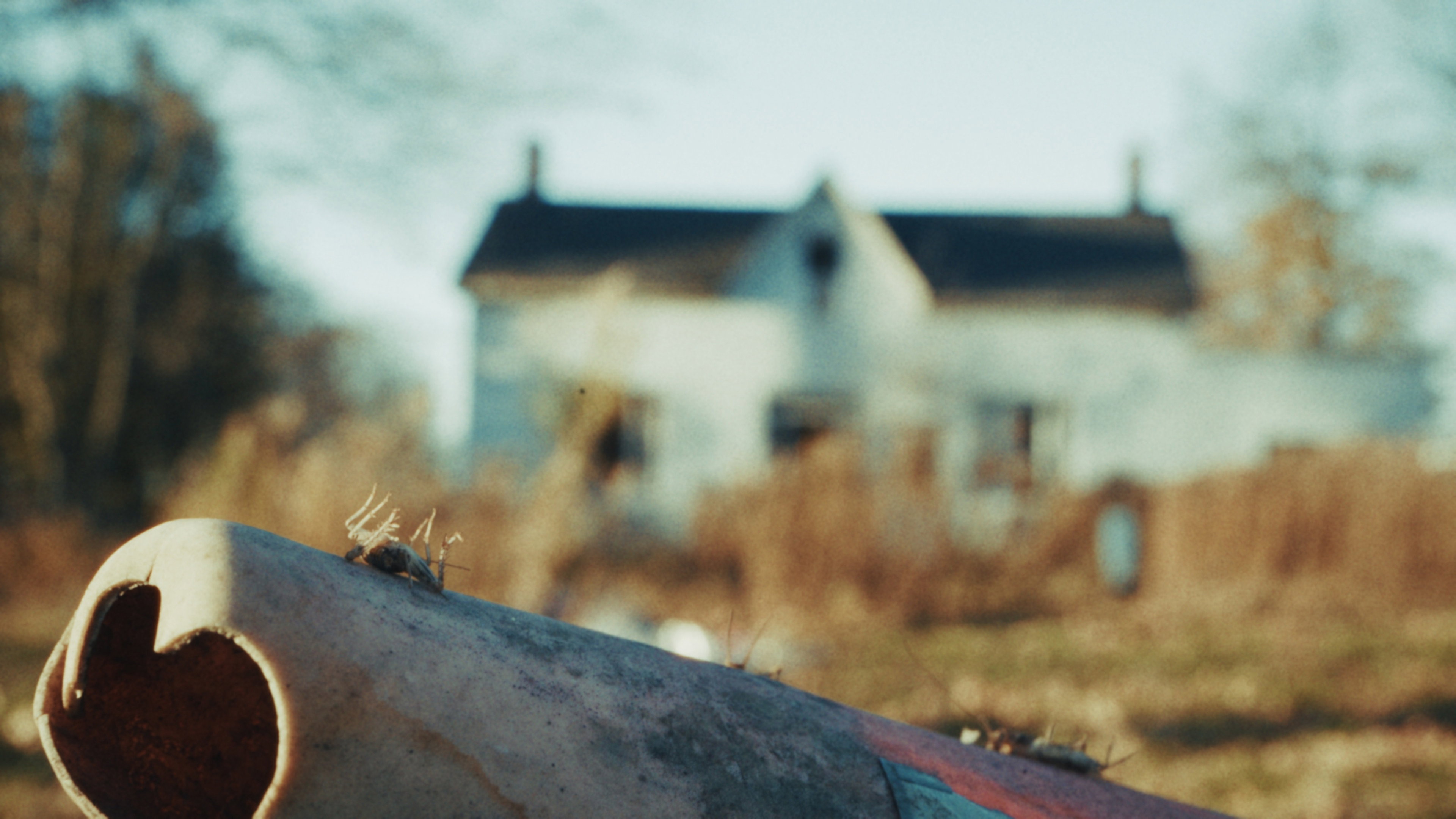 Back to the Old House backdrop