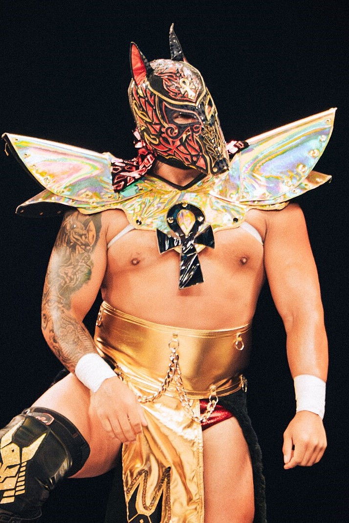 et billede af Esfinge