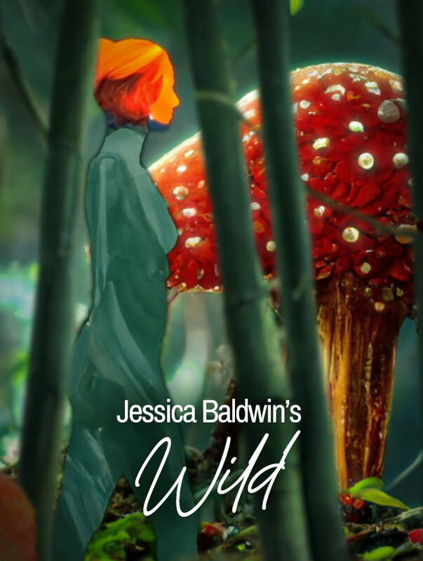 Wild (1970)