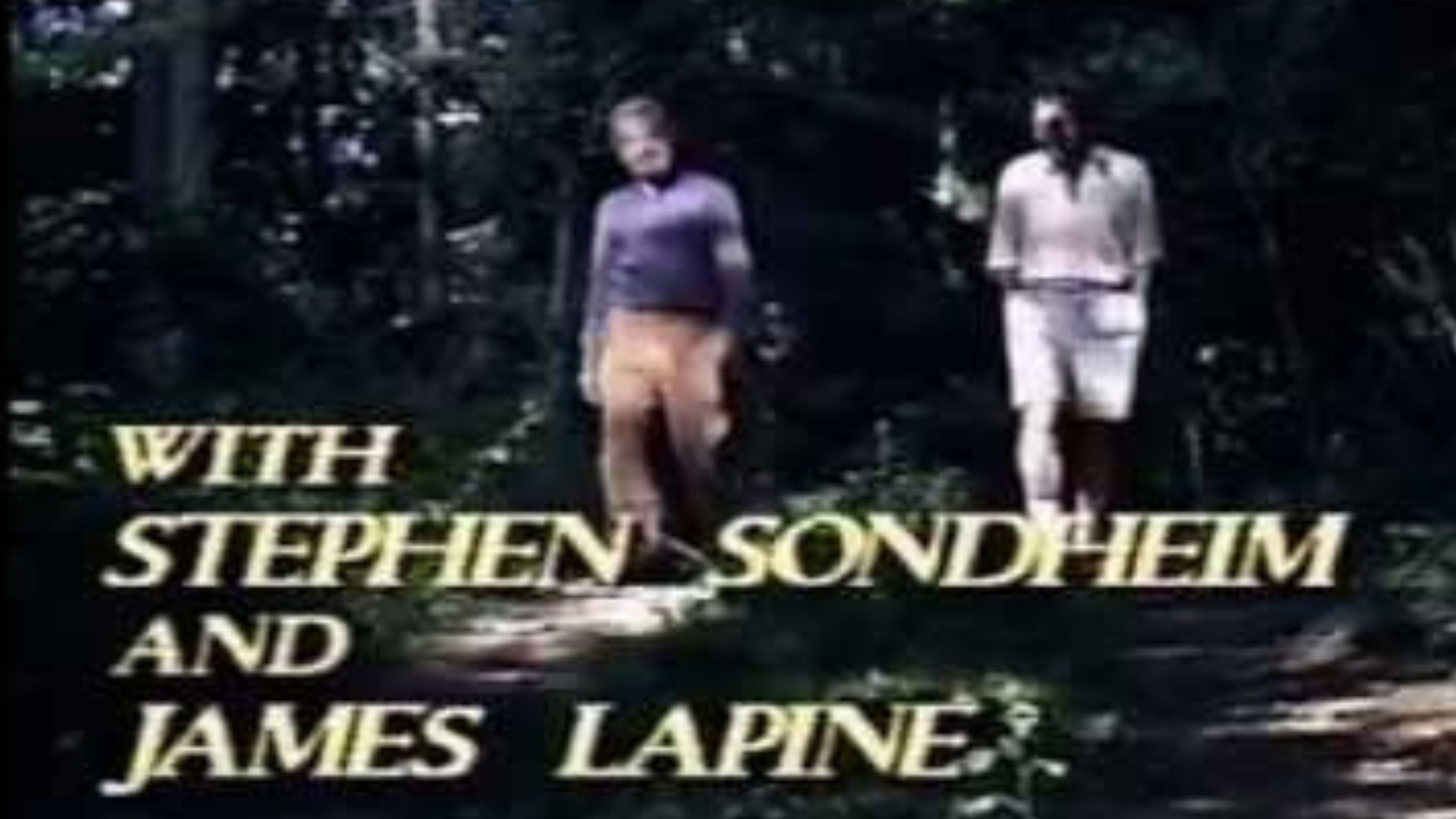 Into the Woods: A Conversationpiece