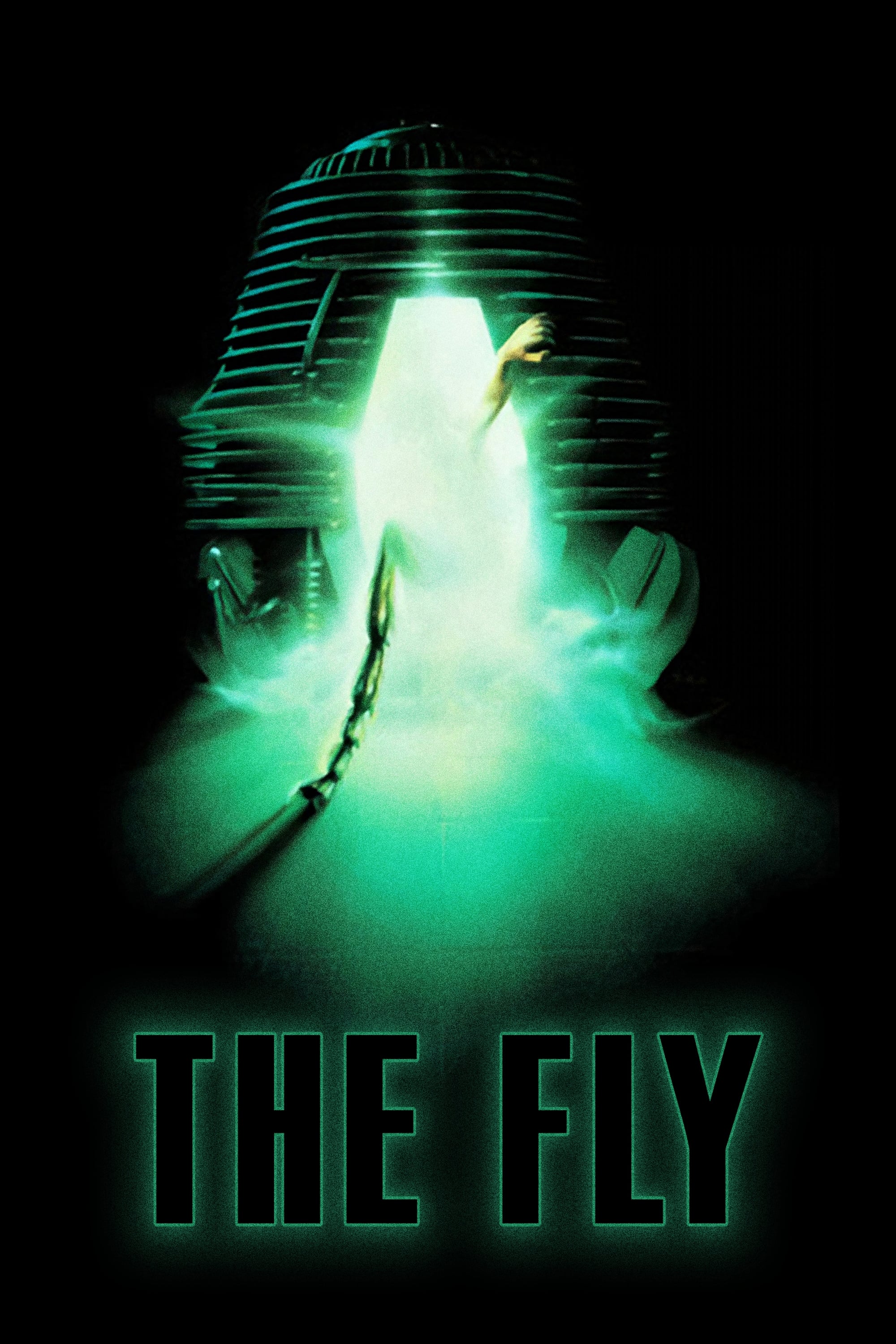 The Fly