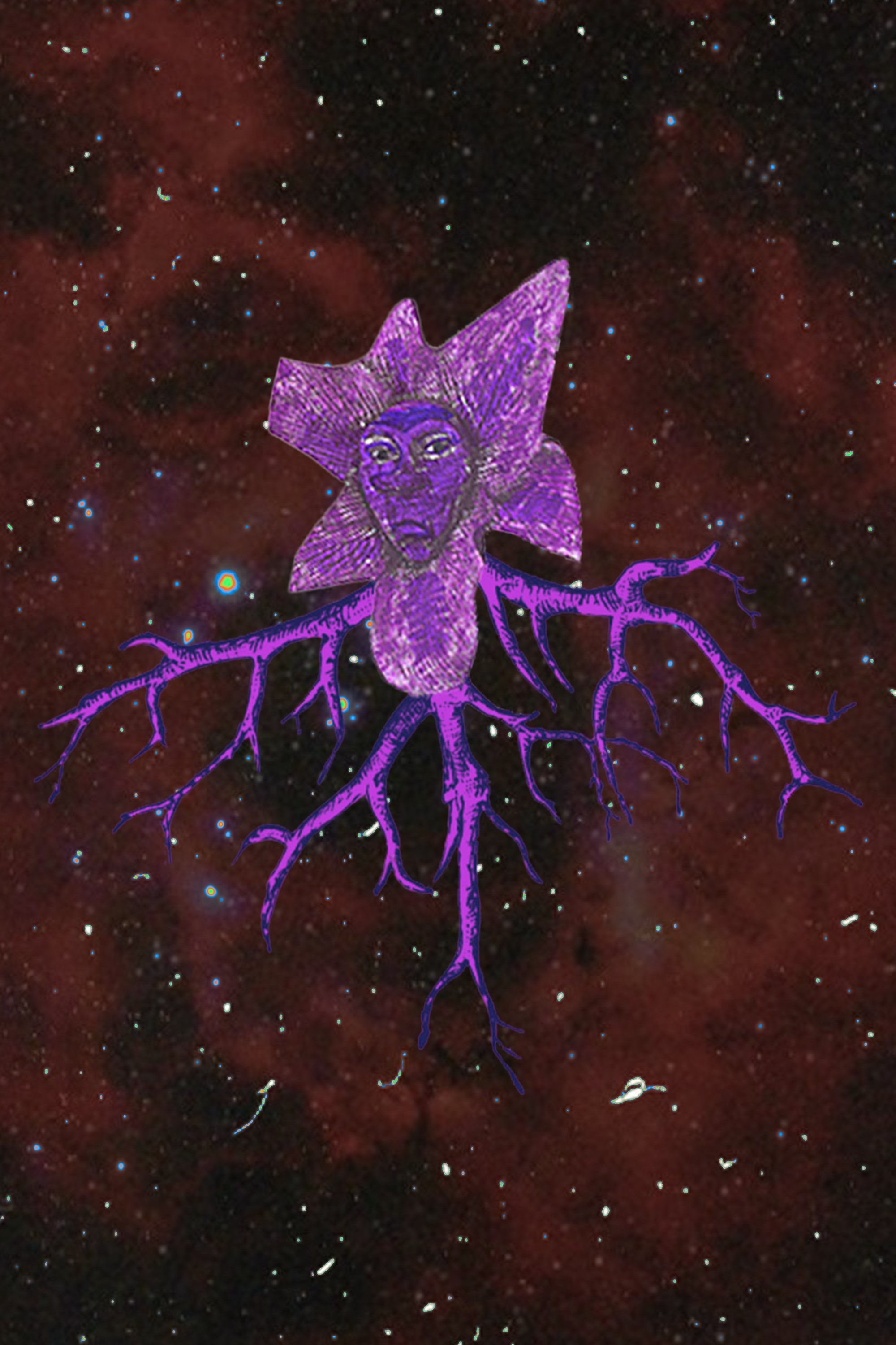 et billede af Matilda