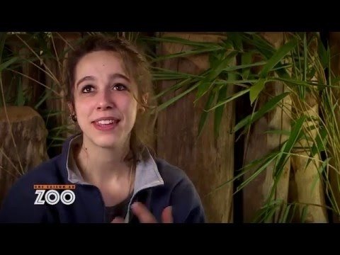 Une saison au zoo - Les caprices de Rewa