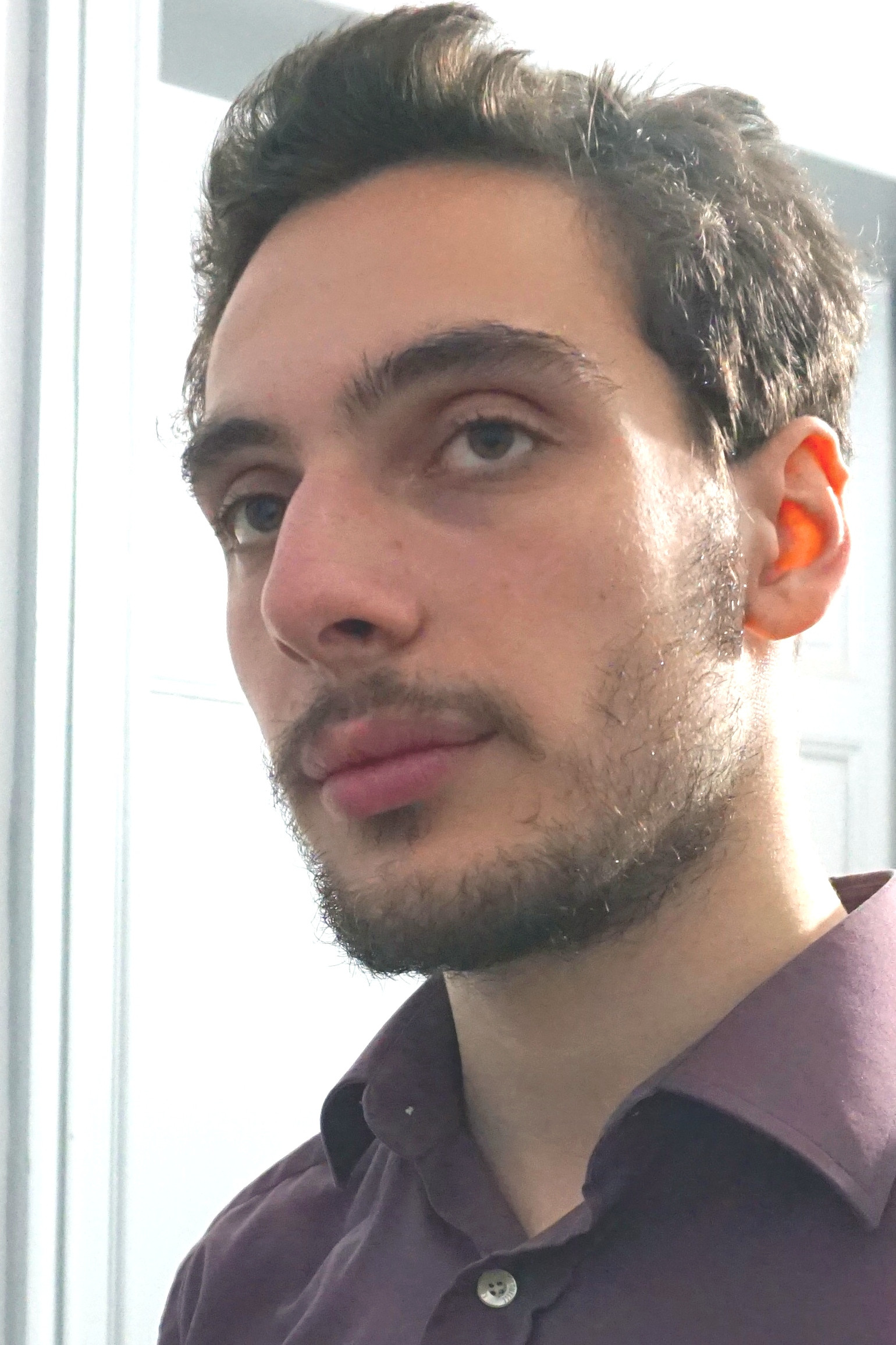 et billede af Sacha Cristante