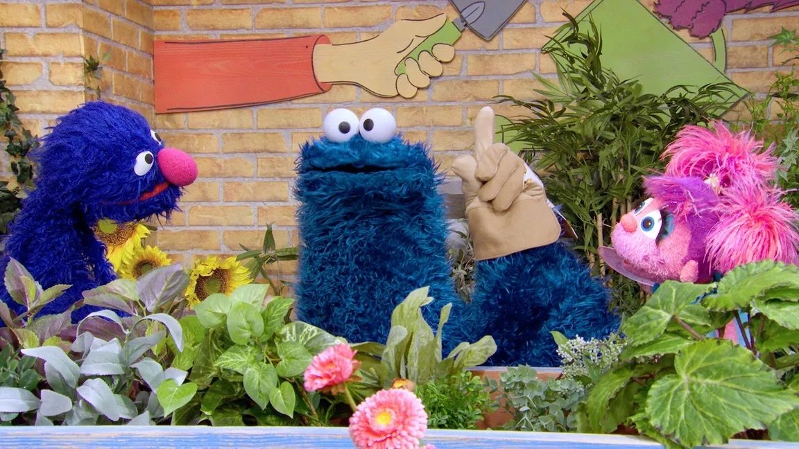 Sesame Street - Season 55 Episode 31 : Sesame Street's Lost And Found