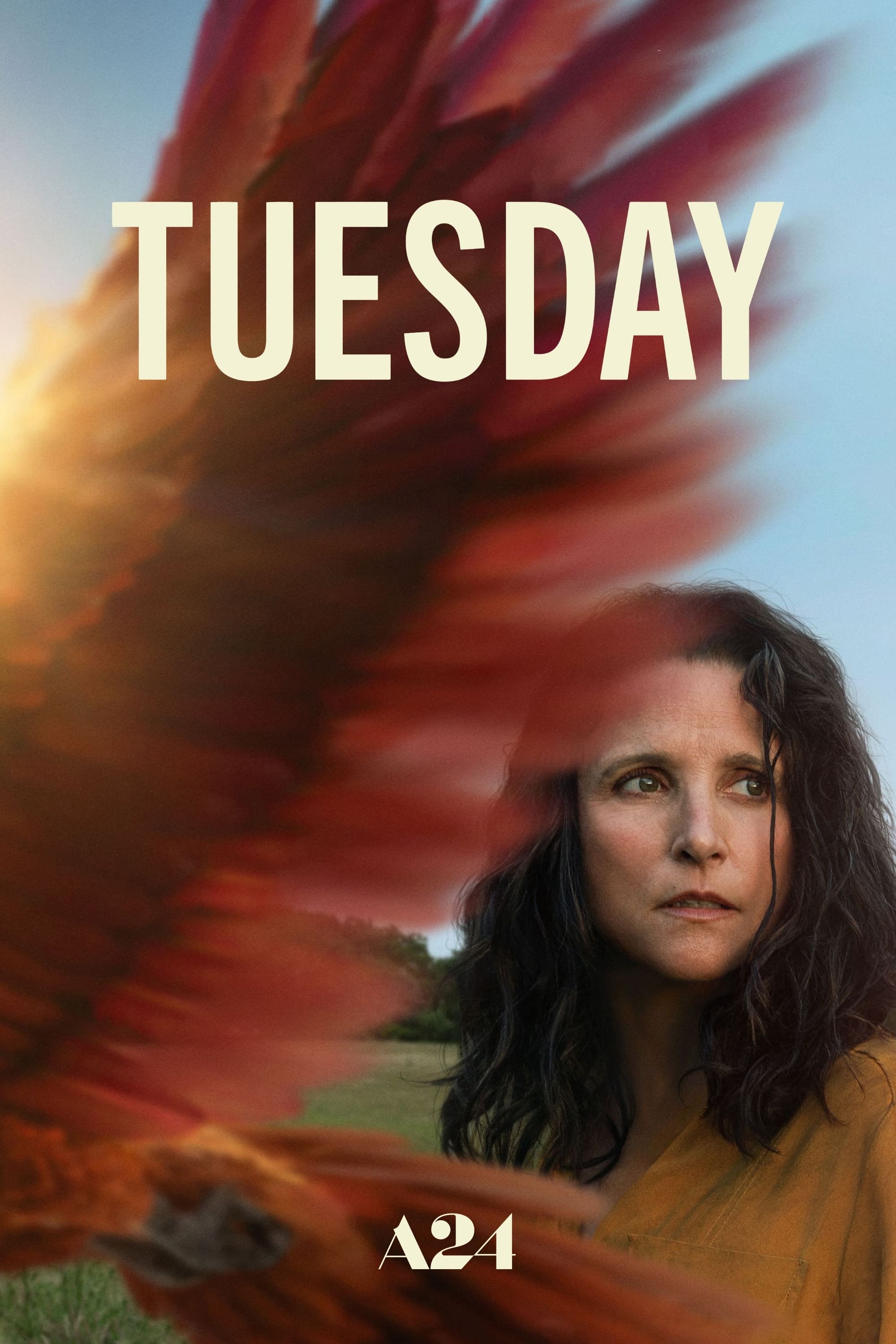Tuesday