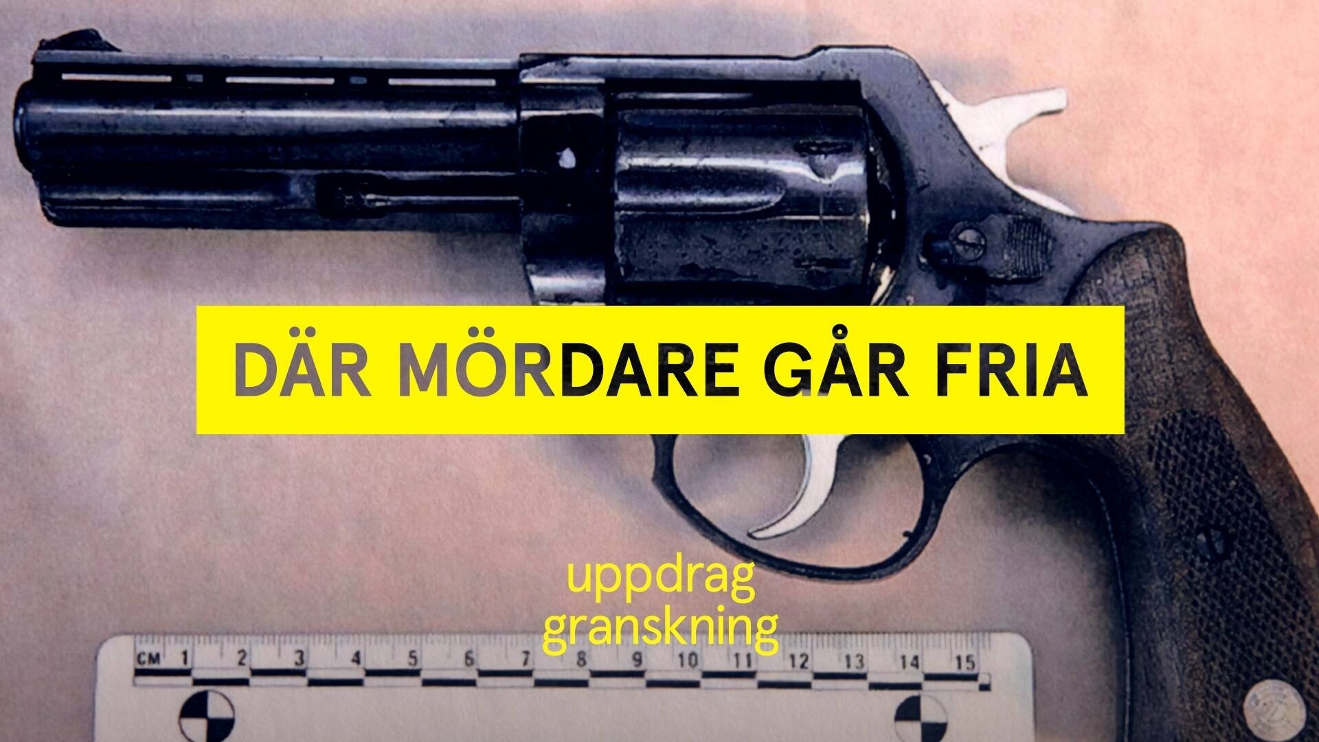 Uppdrag granskning
