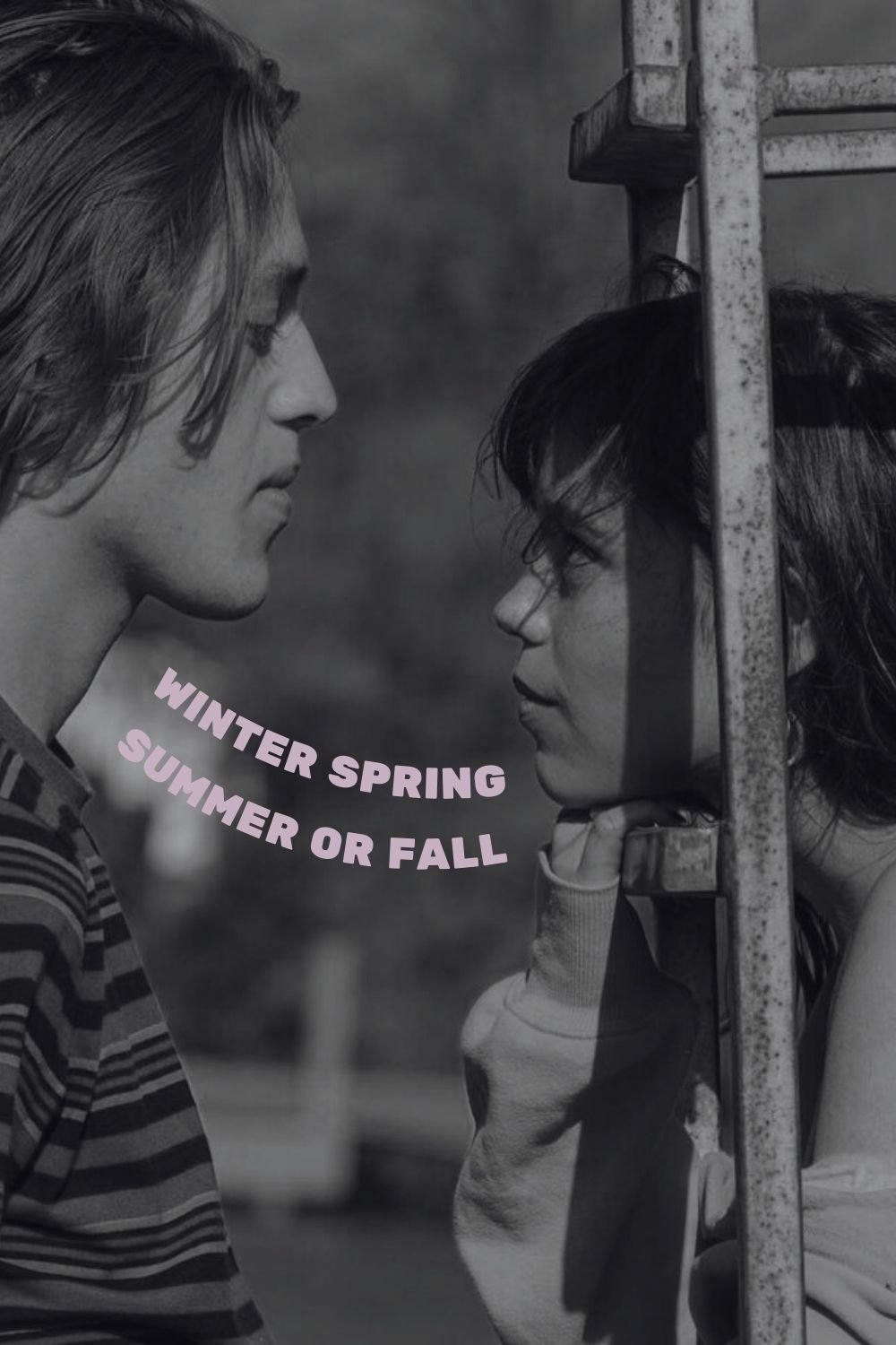 Winter Spring Summer or Fall