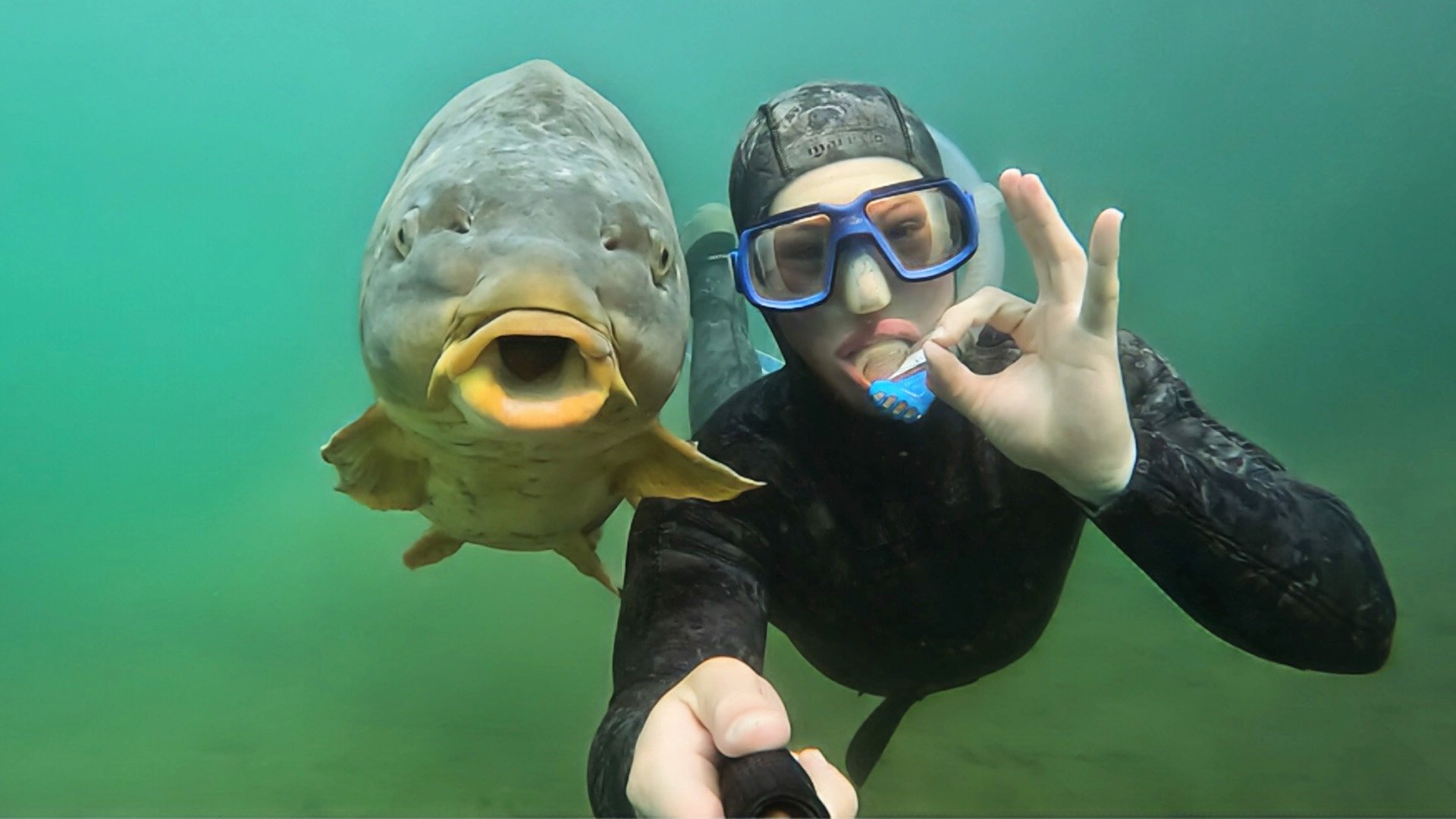 The Grand Fishing Adventure - Épisode 4