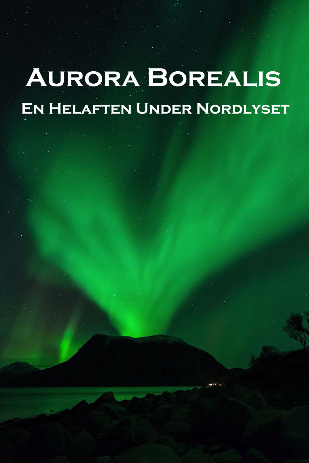 Aurora Borealis: En Helaften Under Nordlyset