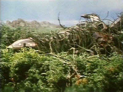 Bomber X - La Mer des arbres